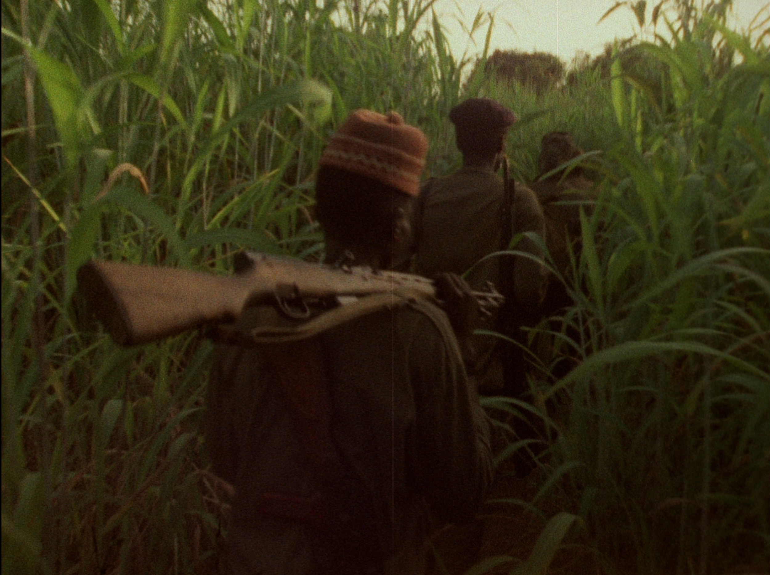 <h3>Concerning Violence</h3>