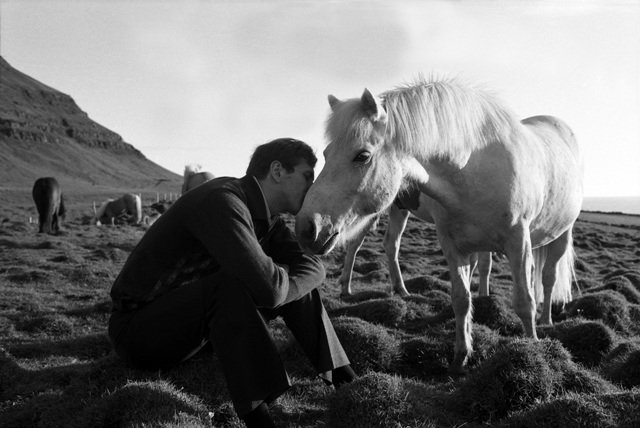 Bobby_Horse_640_428_85.jpg