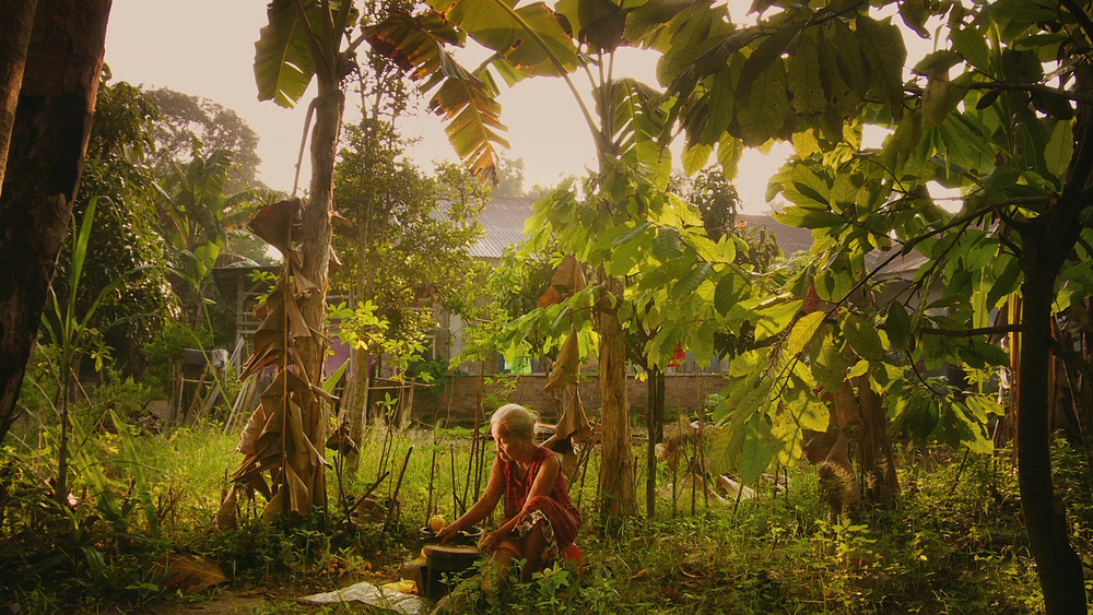 The Look of Silence — Dogwoof Releasing