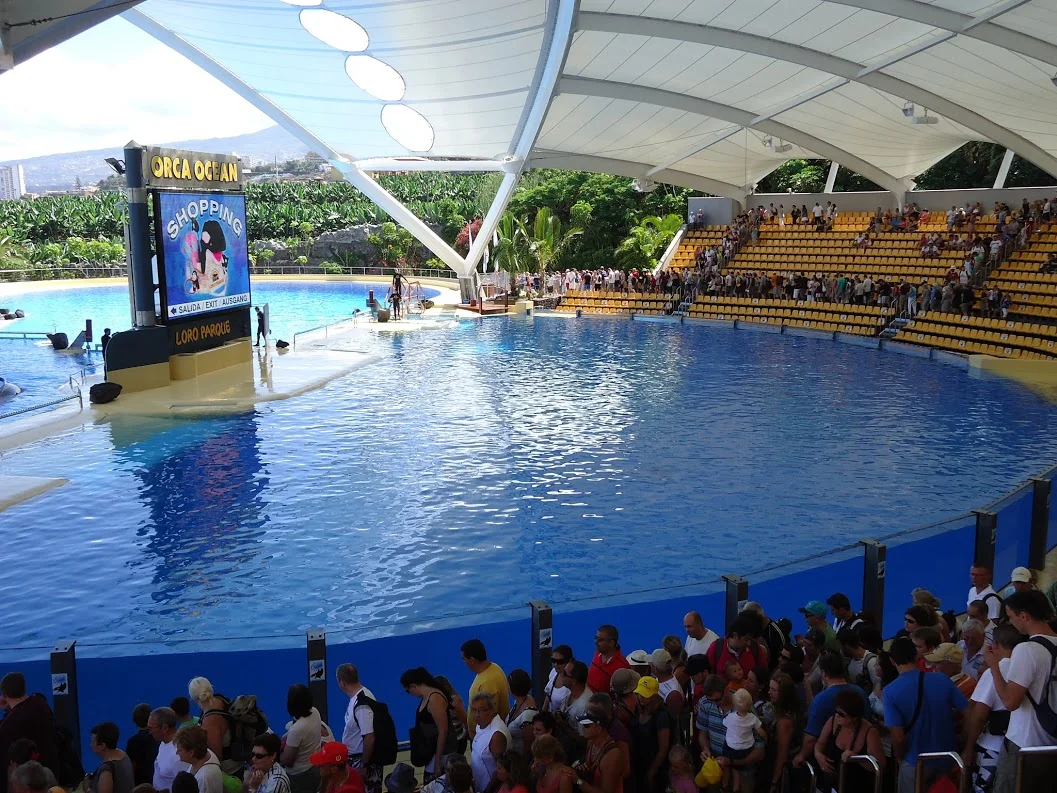 A response to SeaWorld from Blackfish filmmakers