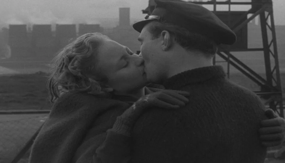 Dogwoof_Doc_LIA-Still01_our country.jpeg