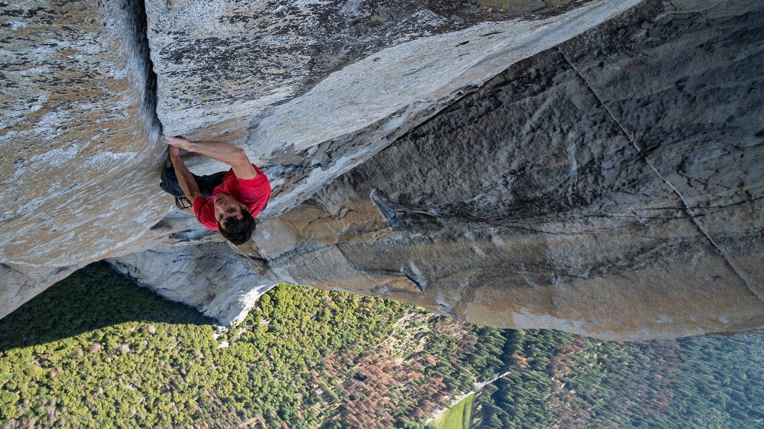 FREE SOLO