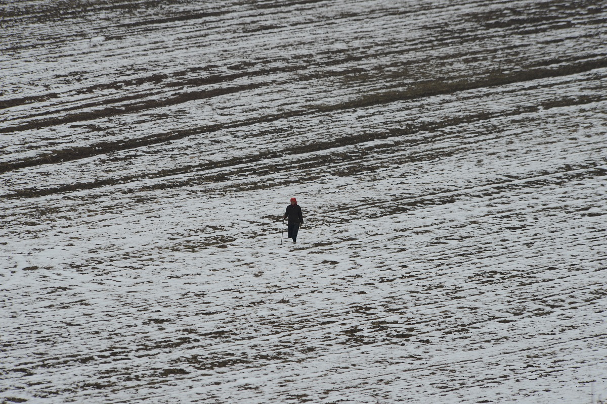 snow honeyland.jpg