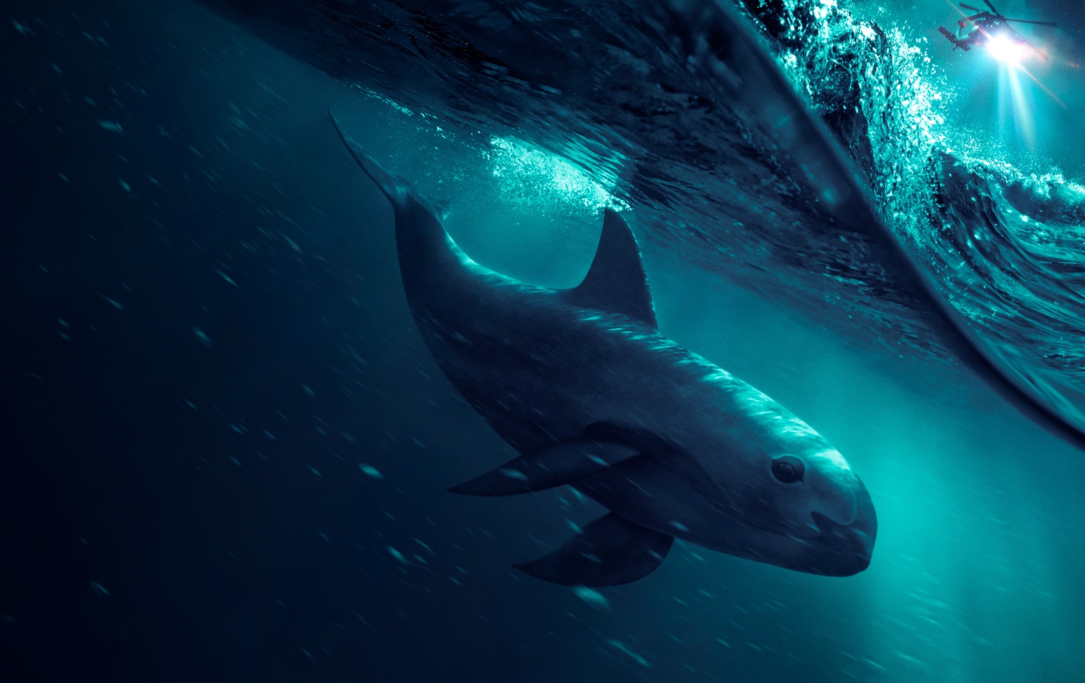 Vaquita update - the world's rarest mammal holds on to survival