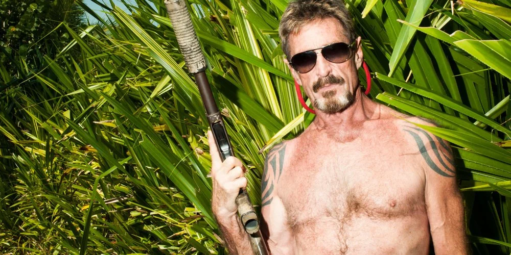 Gringo: The Dangerous Life of John McAfee </h3>