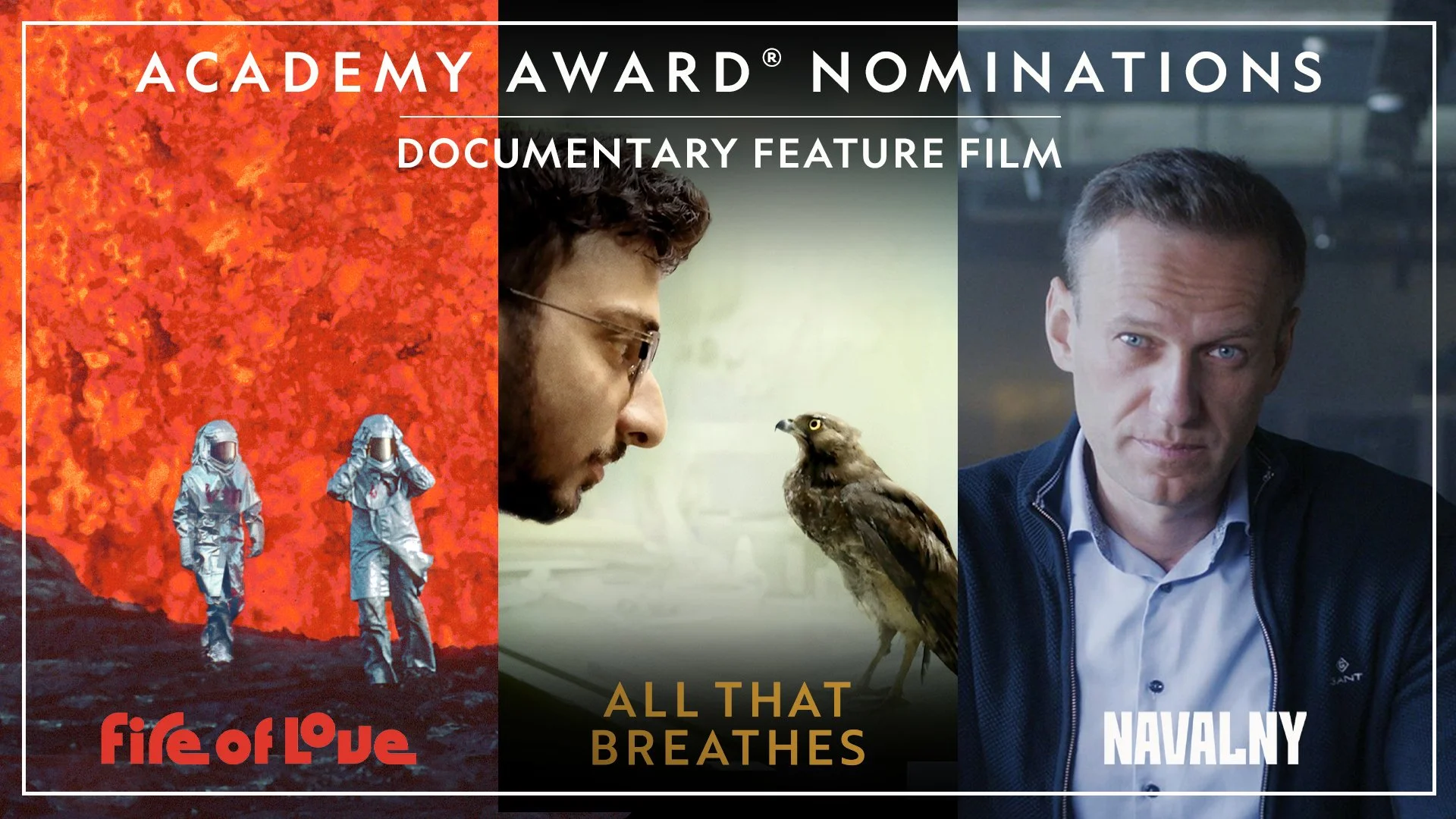 It's that time of the year again: Award Season! — Dogwoof Releasing