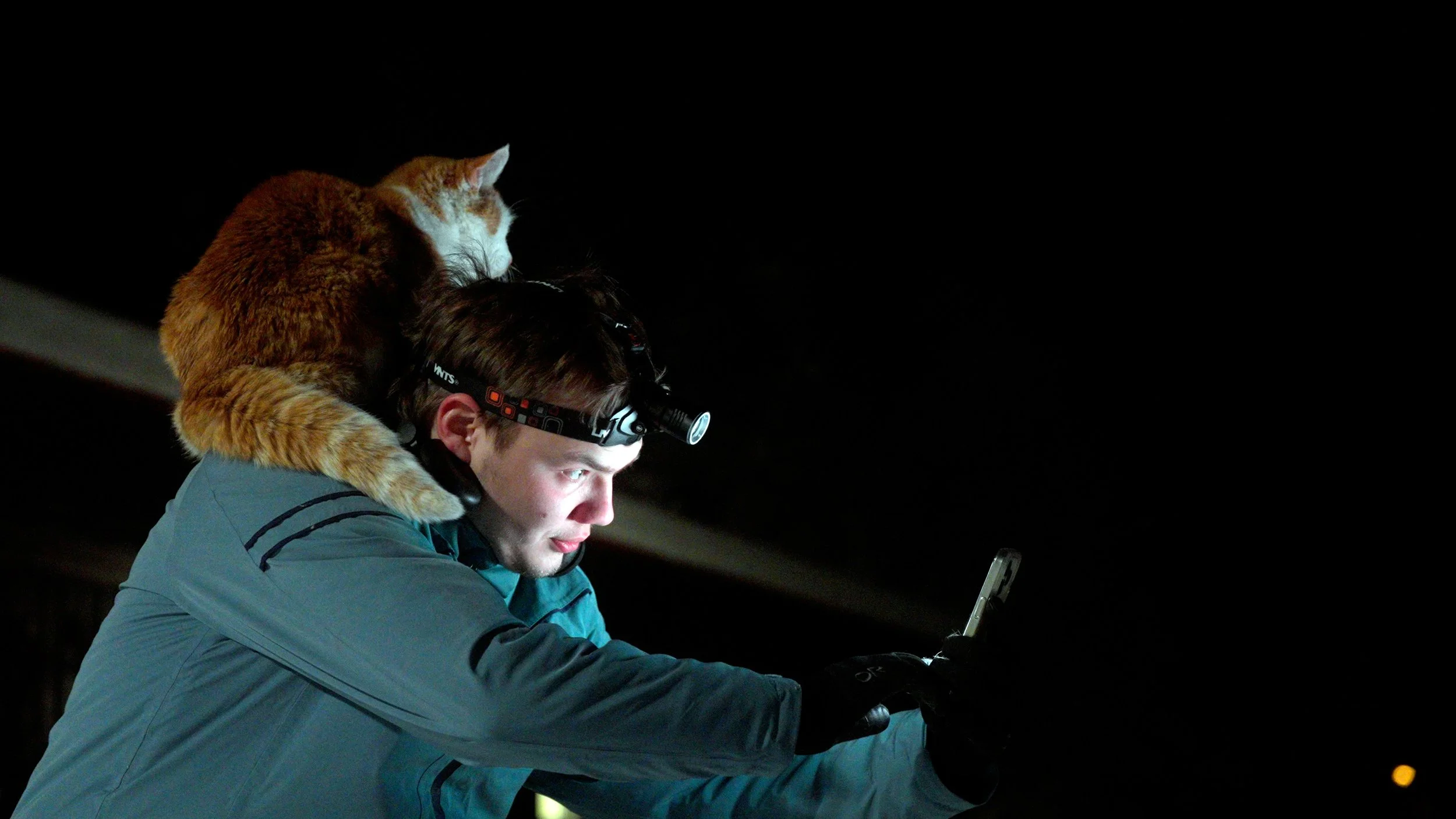 FOLKTALES_FilmStill_03_BjørnTore&Tigergutt_byTorEdvinEliassen.jpg