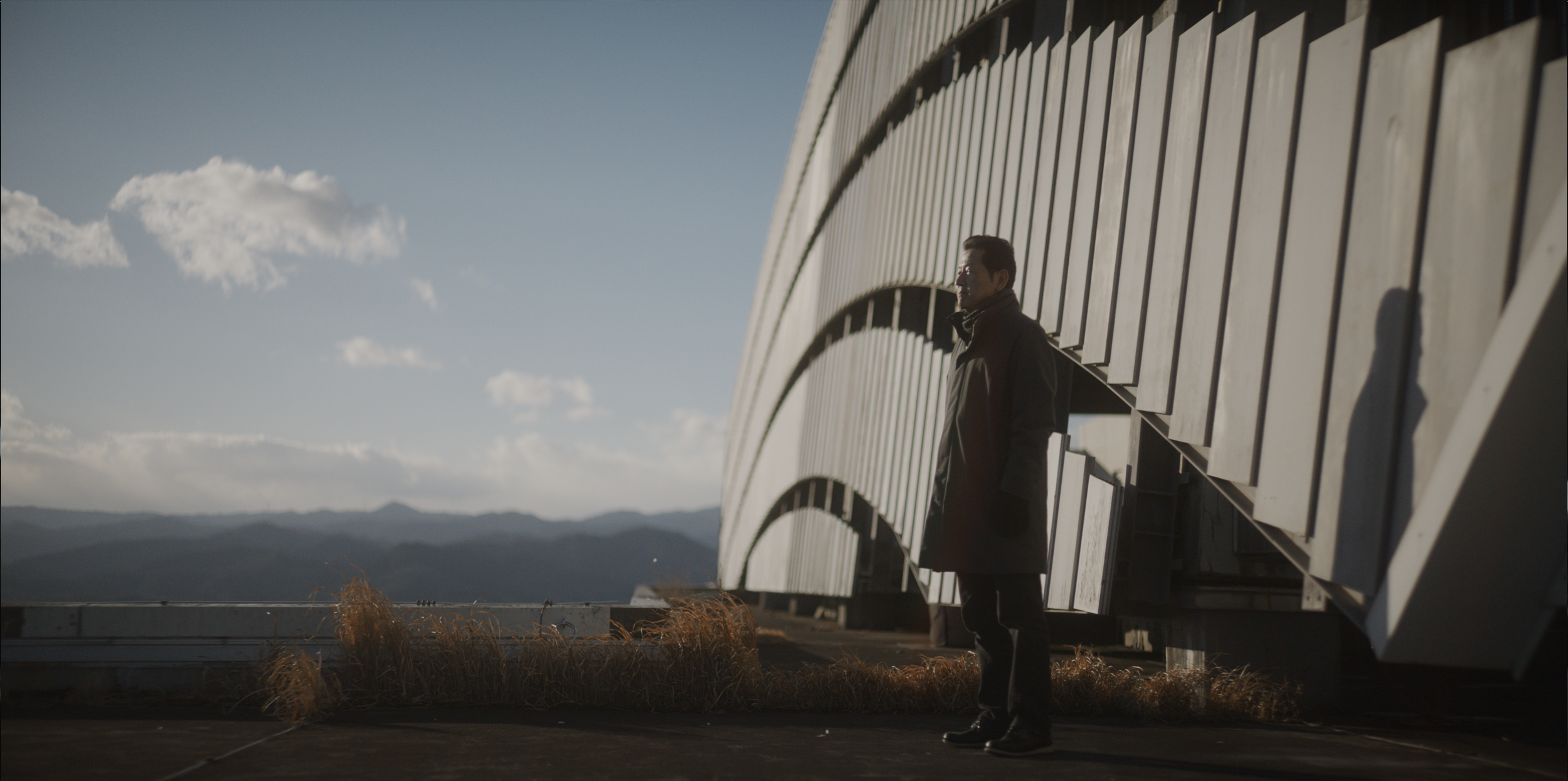 DOGWOOF SECONDARY STILL.png