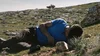 Dogwoof Documentaries