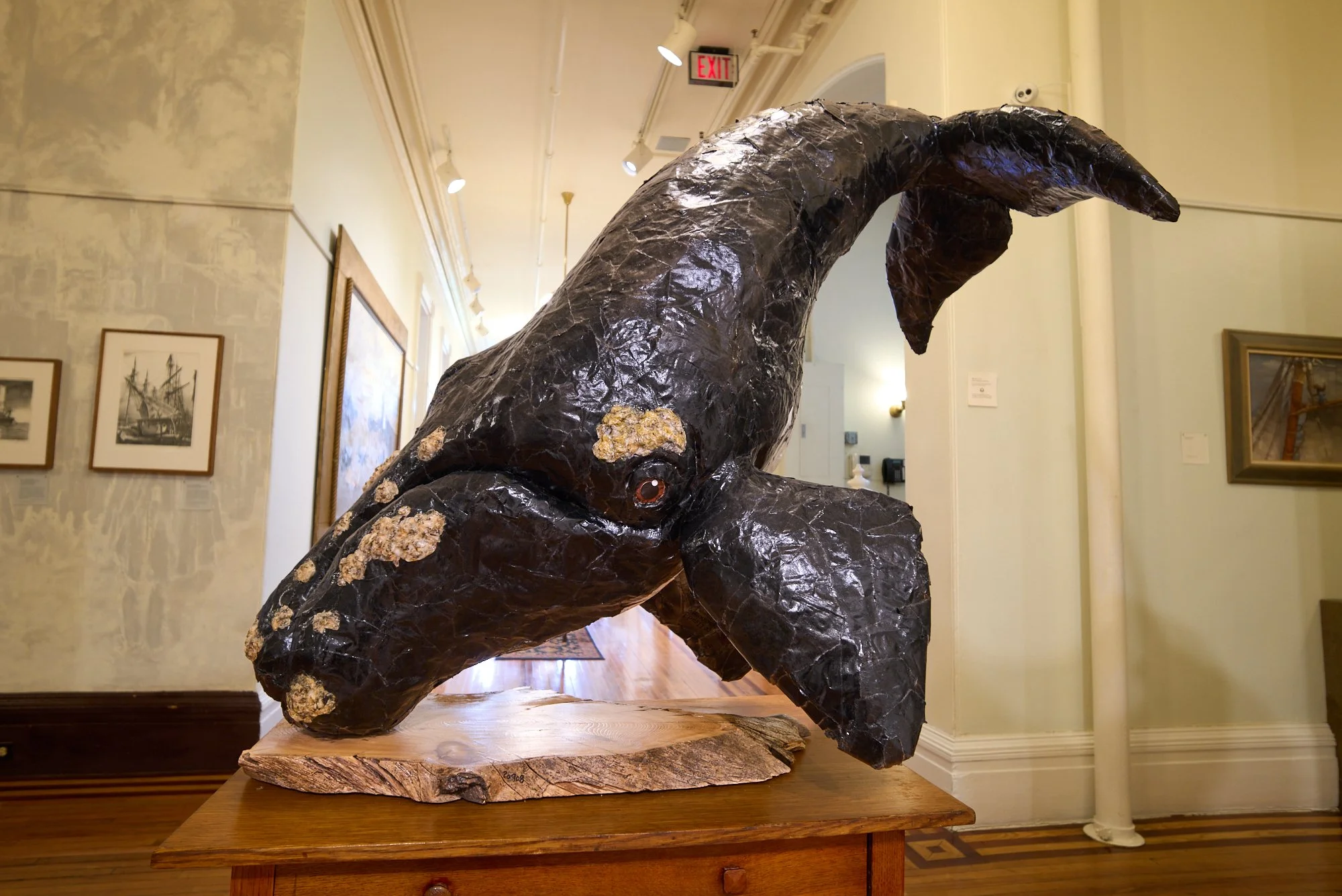 Donna Naploi-Steele Right Whale.jpg