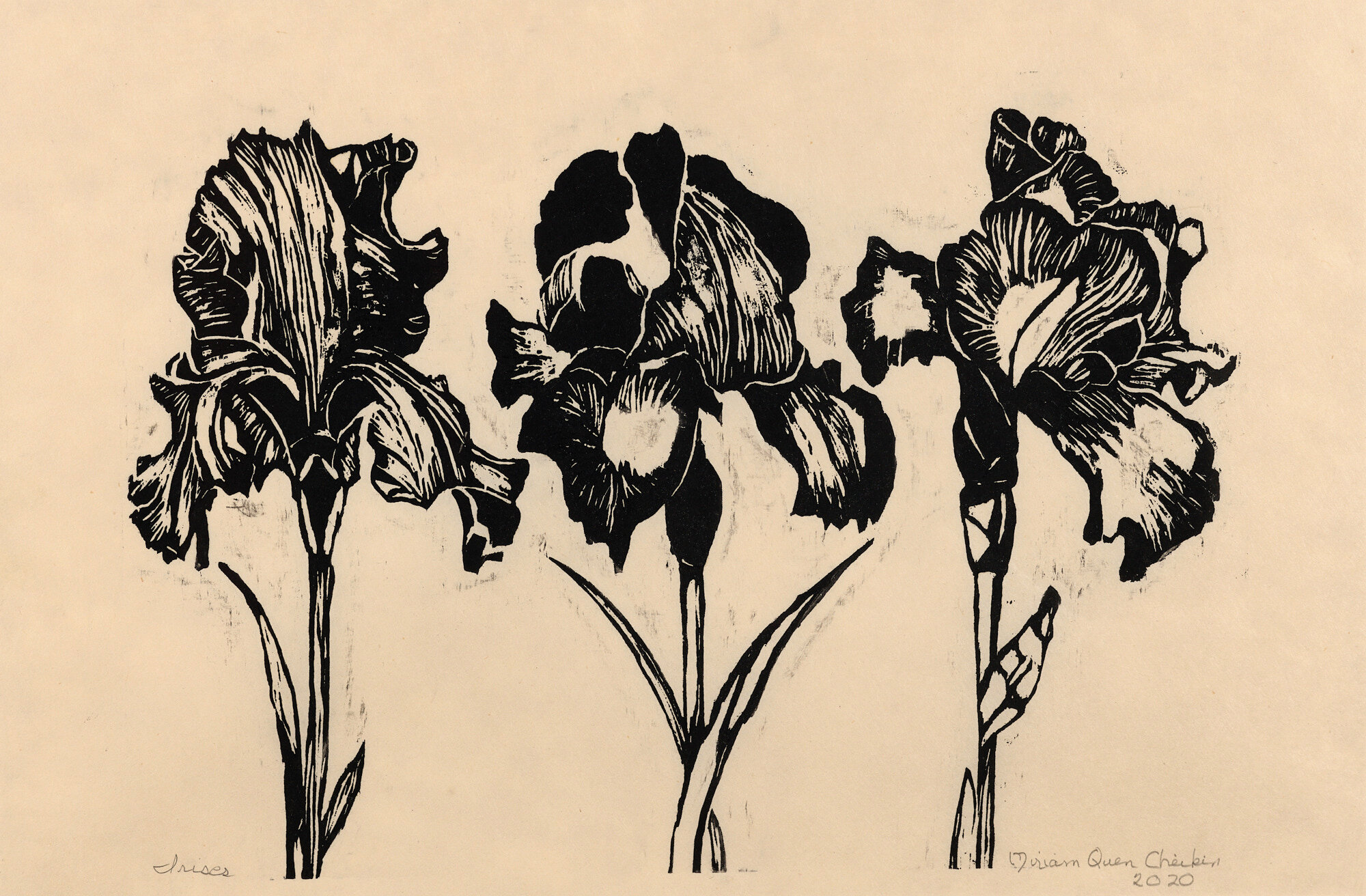  Miriam Quen Cheikin   Irises   Woodcut, 2020, 11 ¼” x 14 ¼”     