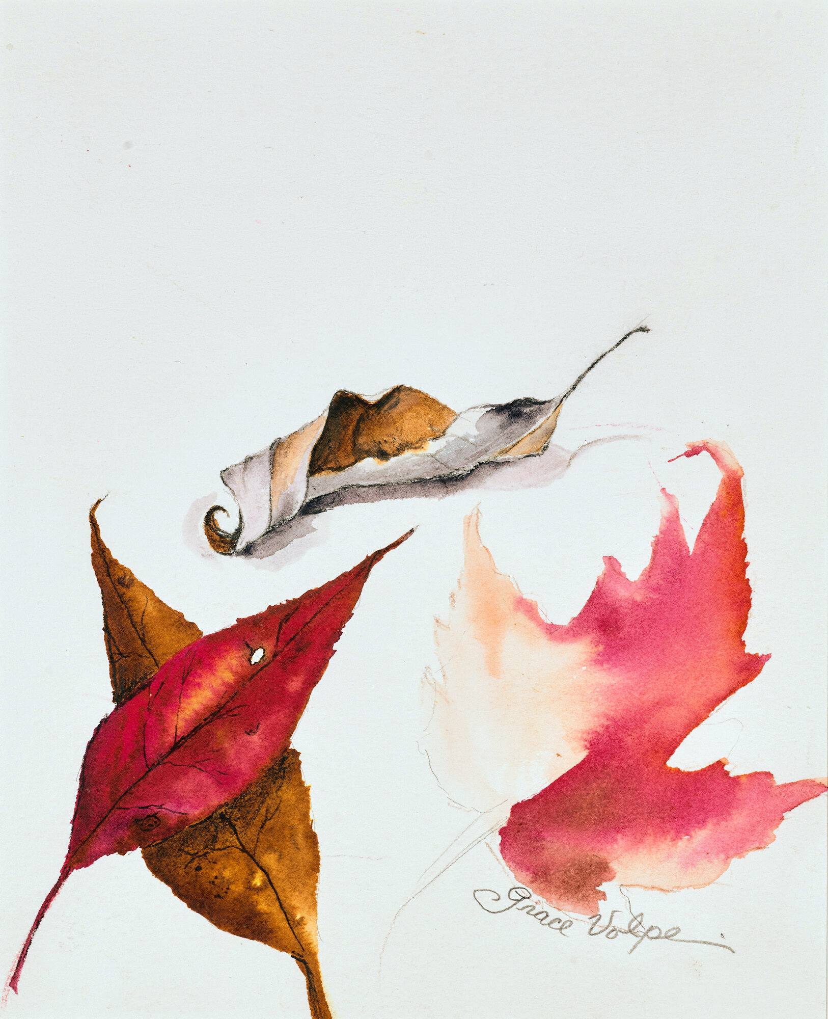  Grace Volpe   Untitled (autumn leaves)  Watercolor, 2021, 9 ½” x 7 ¾”    
