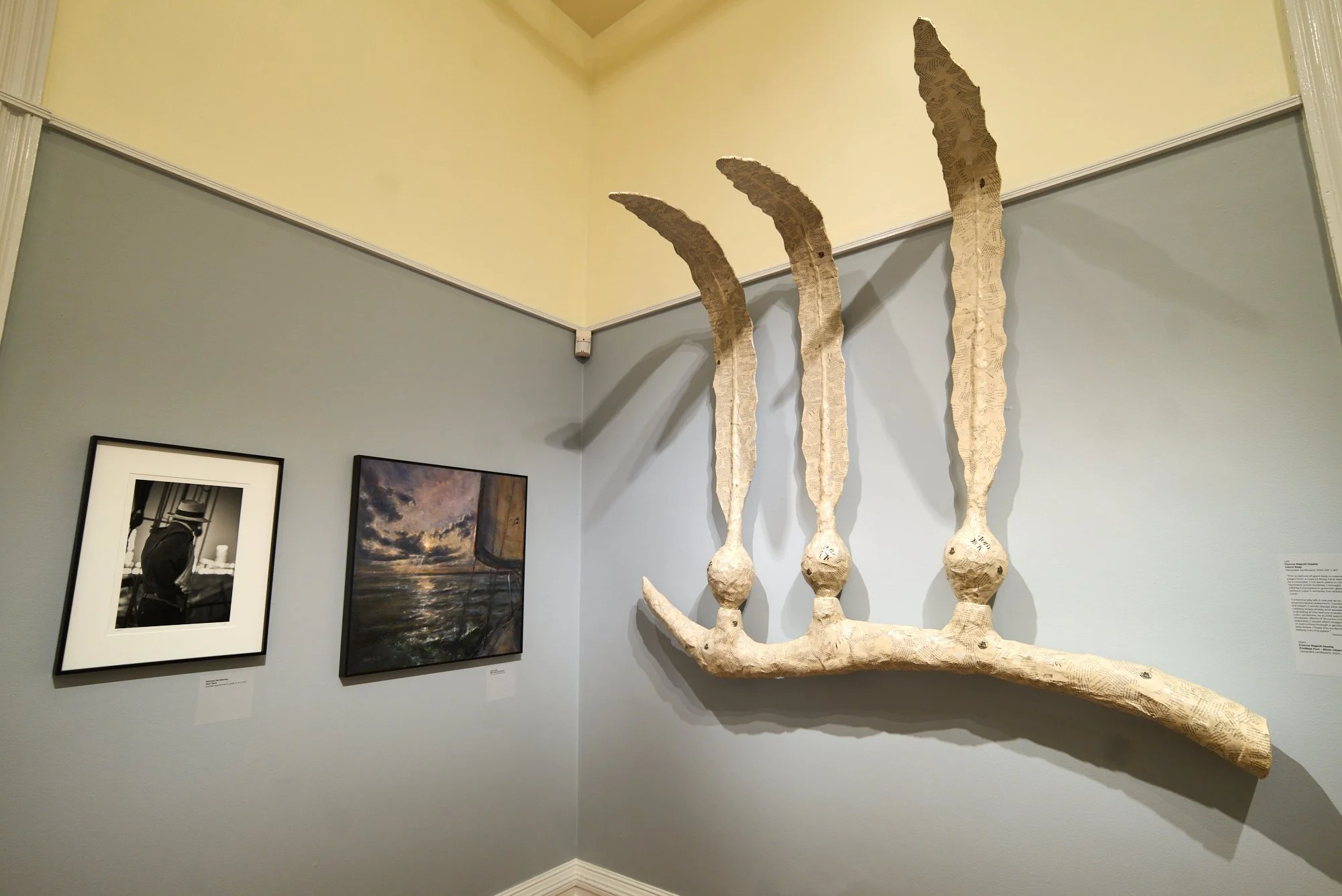 Oceanus install Kelp.jpg