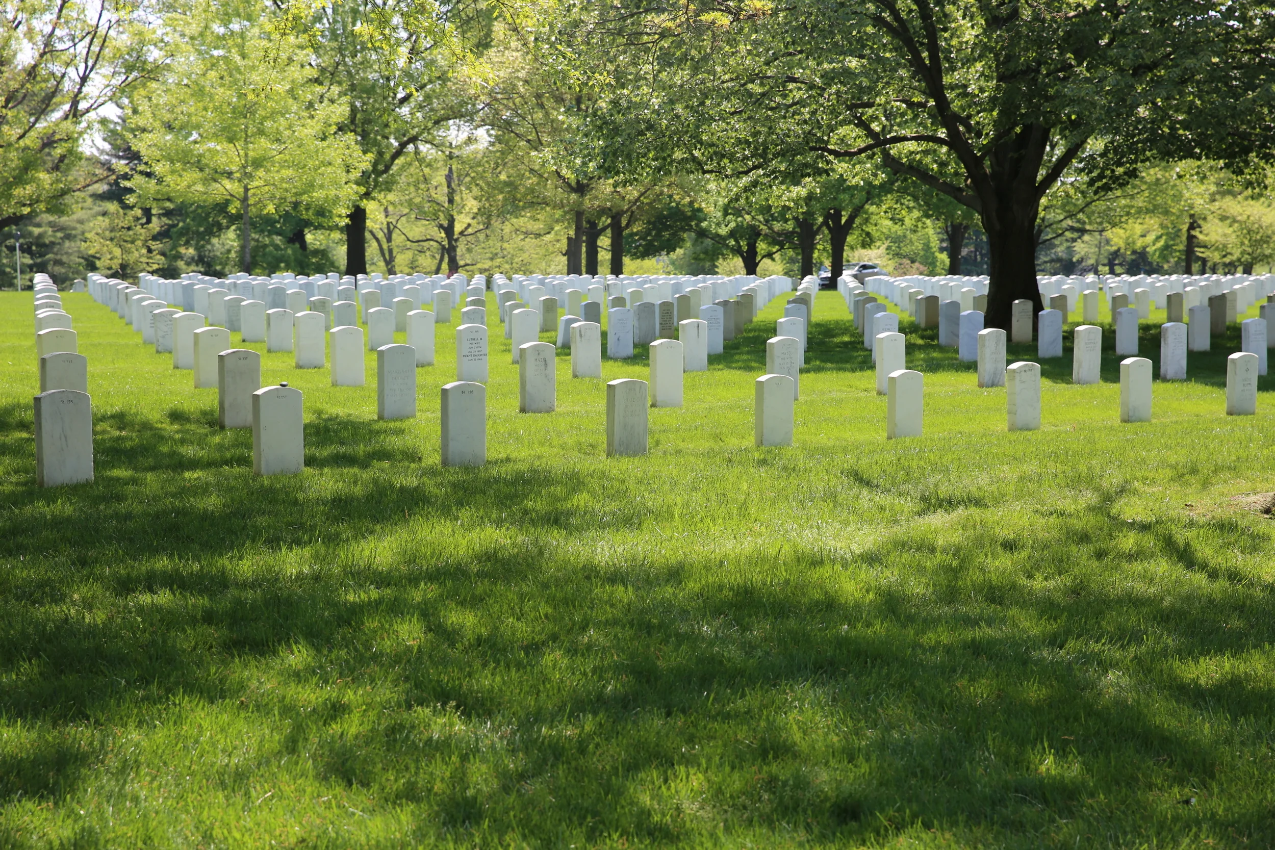 Arlington