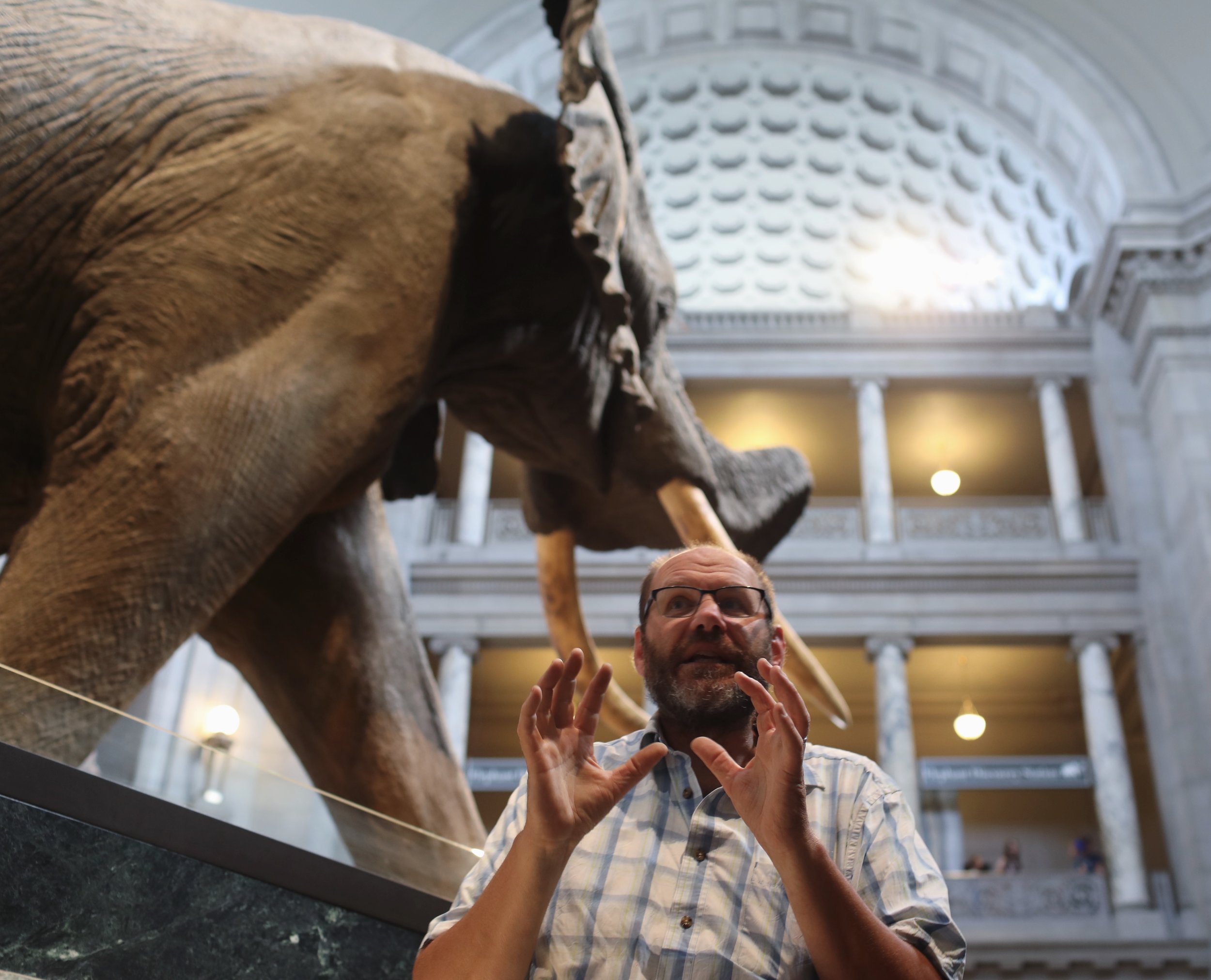  Smithsonian Natural History Museum, Washington, DC  Canon 5D Mark III 