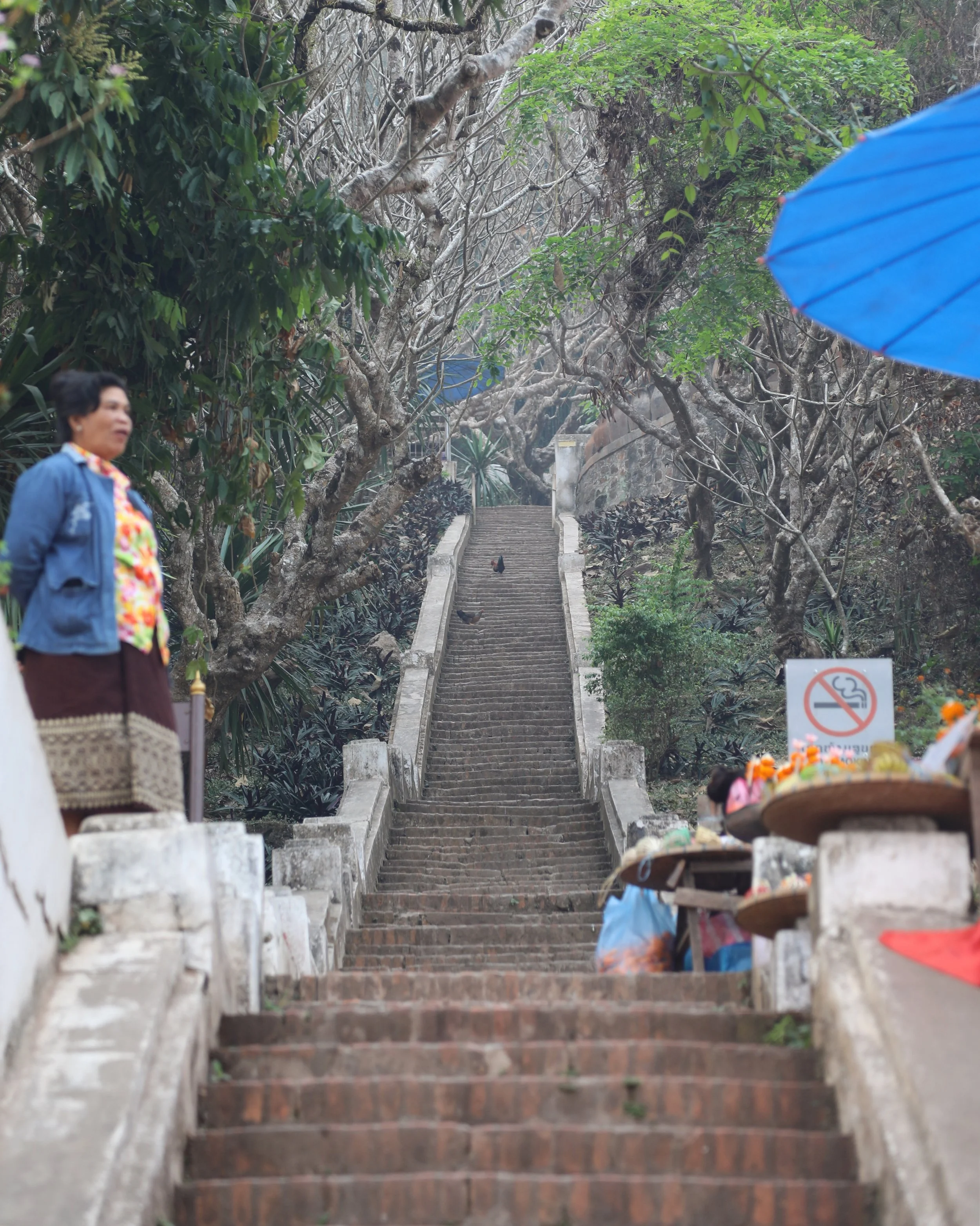  Luang Prabang, Laos  Canon 5d Mark IV 