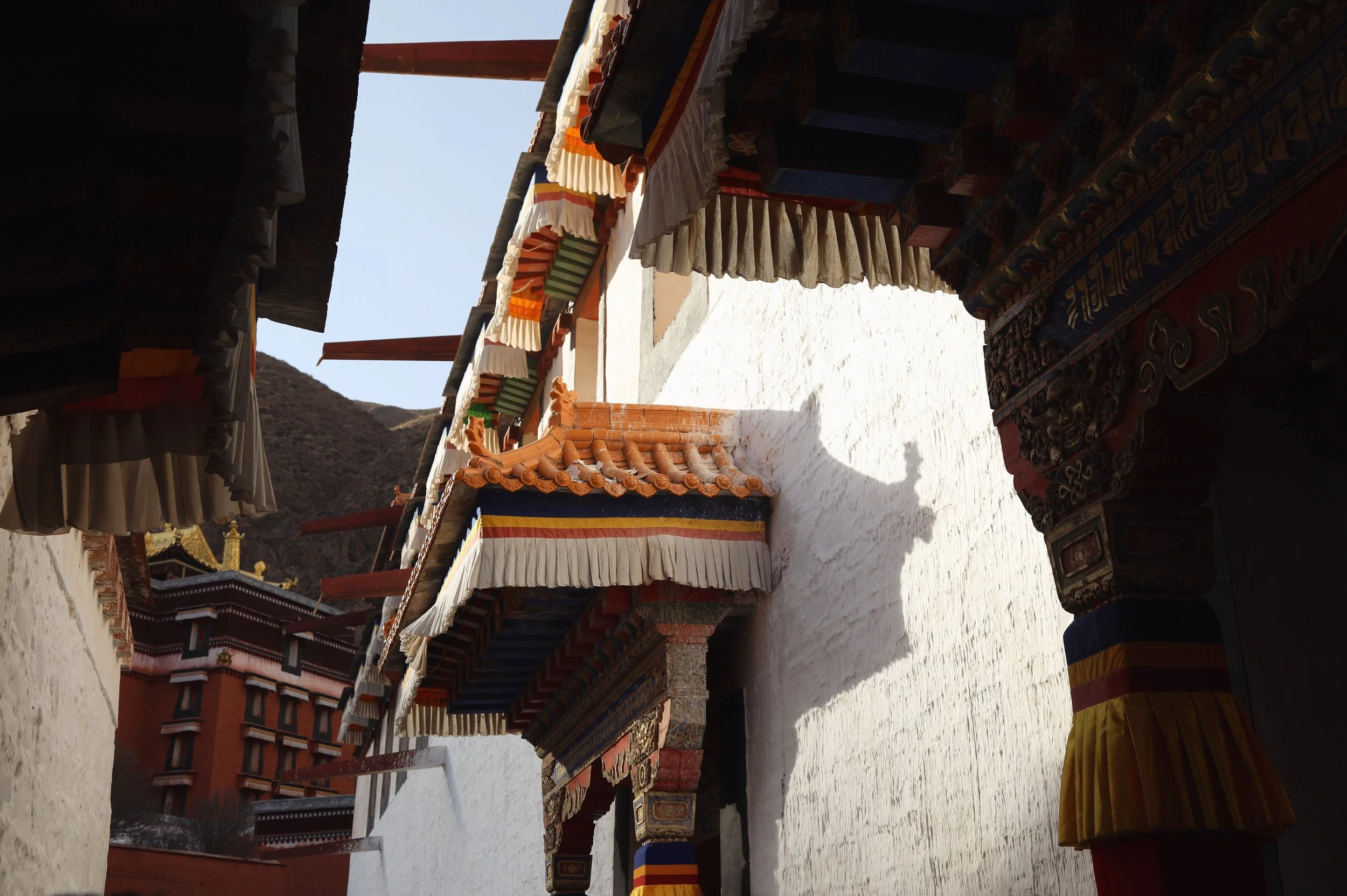  Labrang, Amdo, Tibet  Canon 5D Mark IV 