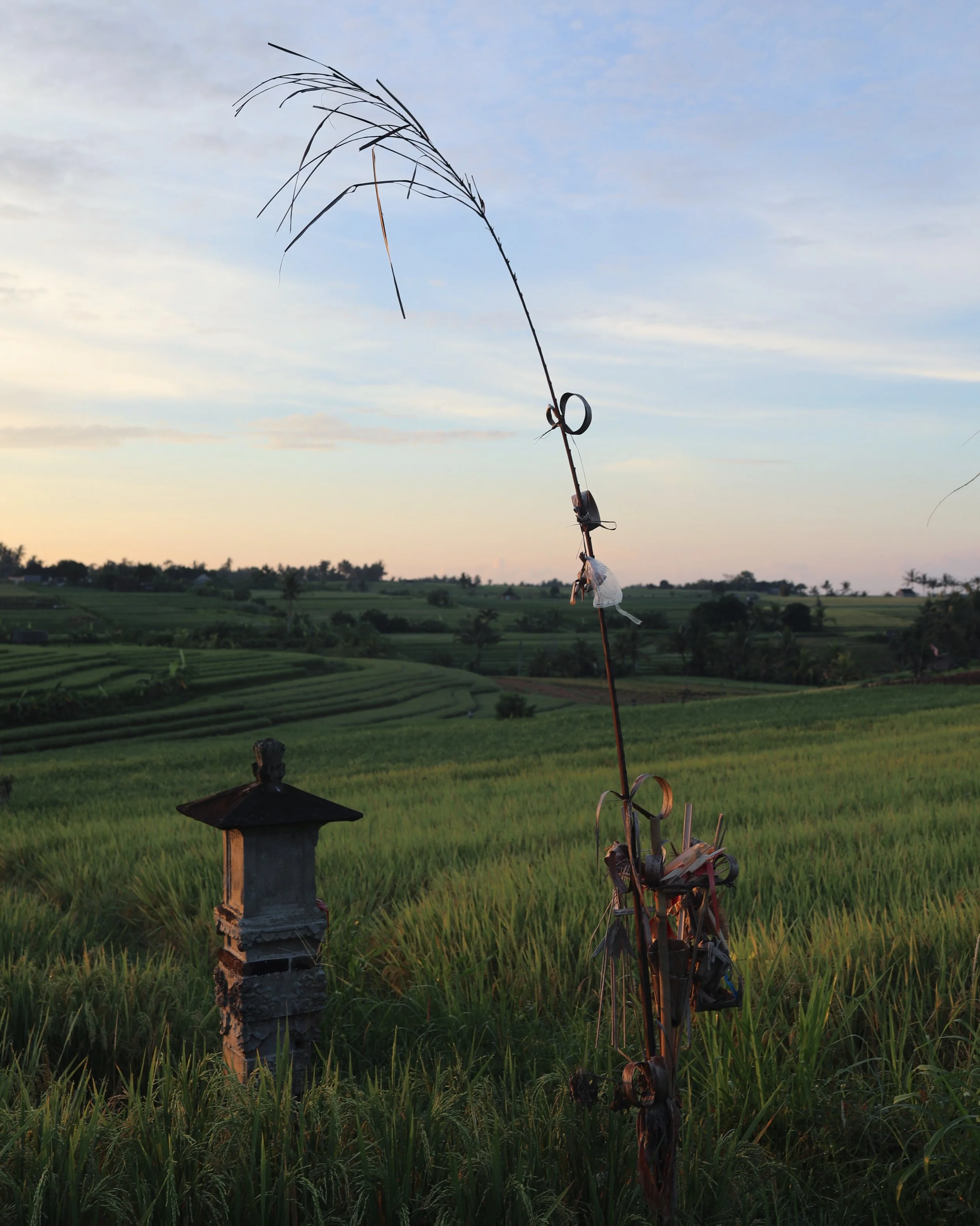  Tabanan, Bali  Canon 5D Mark IV 