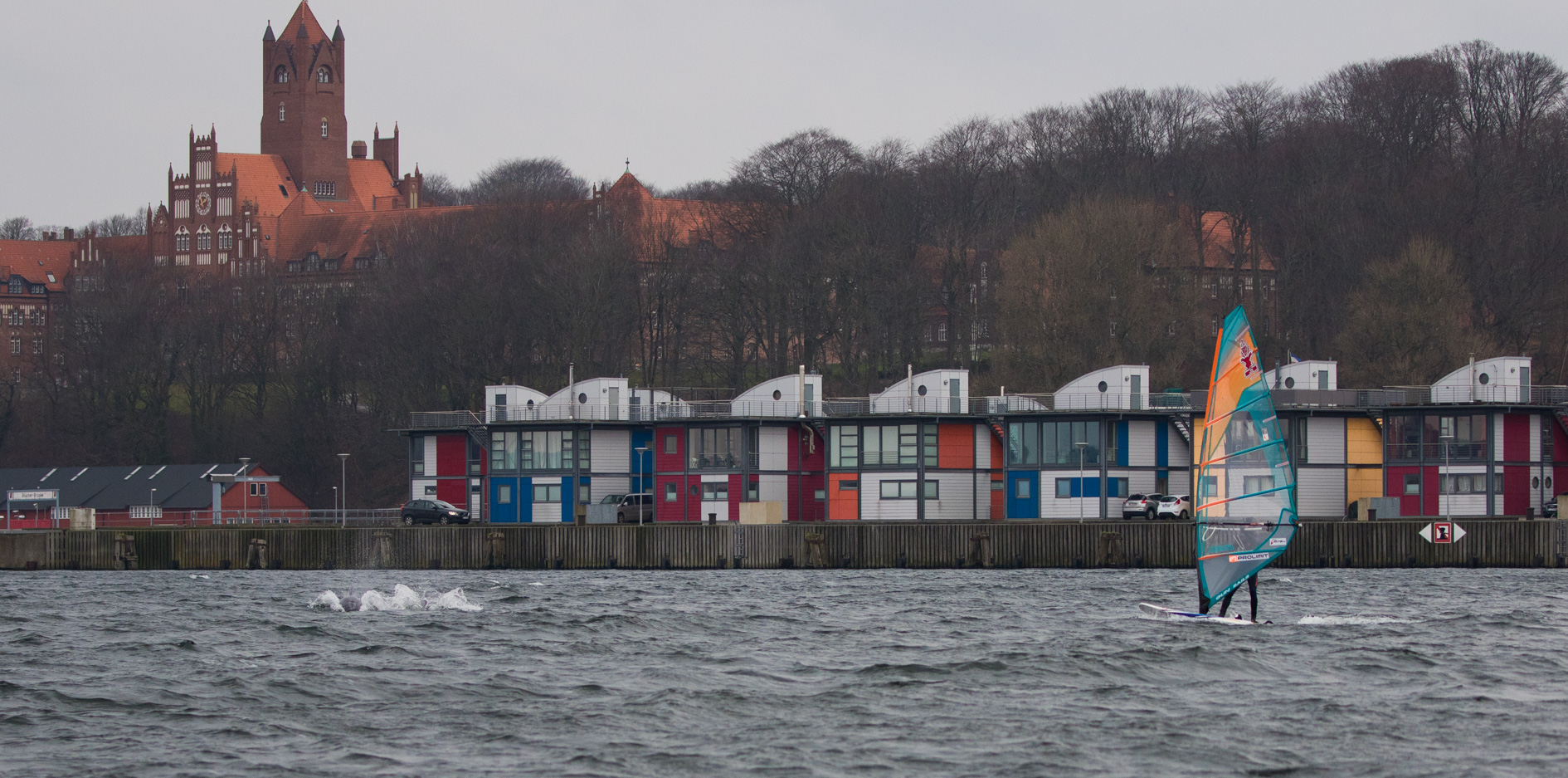 Delfine Flensburger Förde