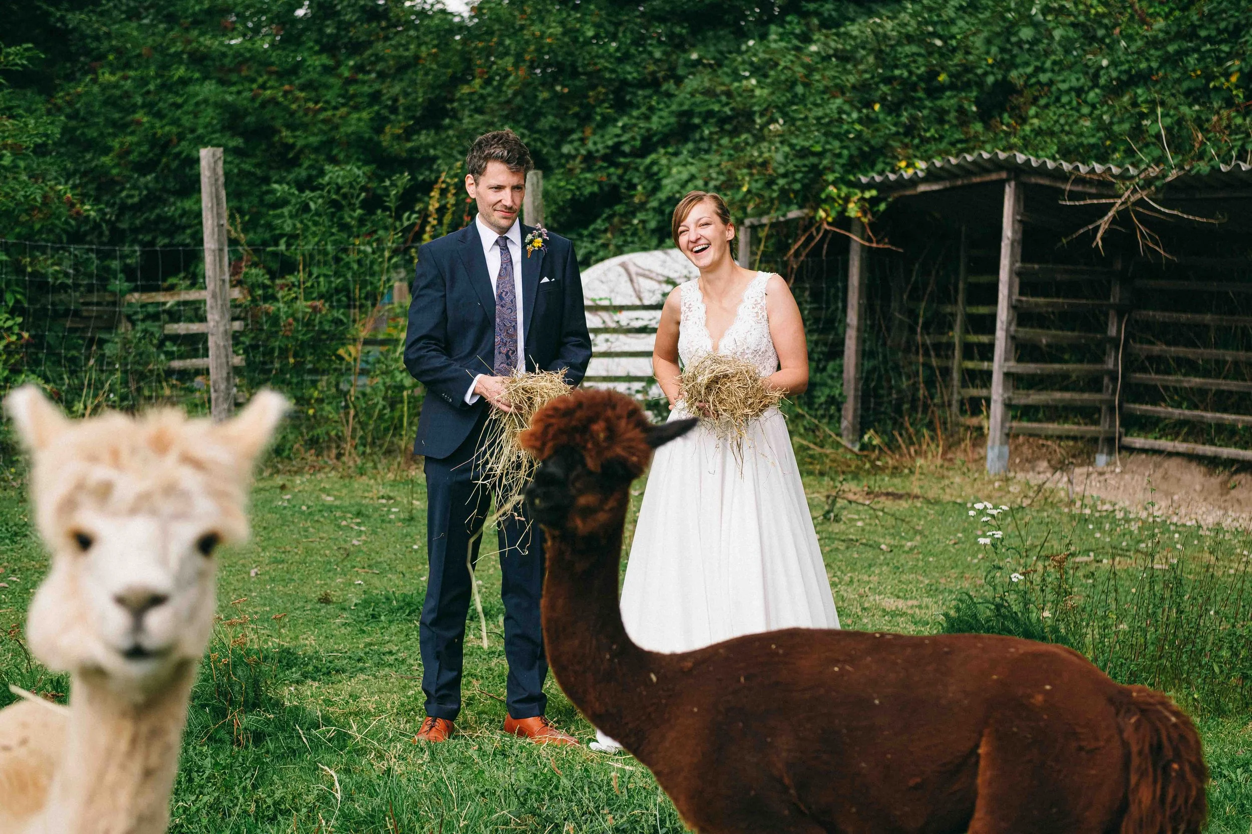 hochzeit_hofstube_gut_Blockshagen__66.jpg