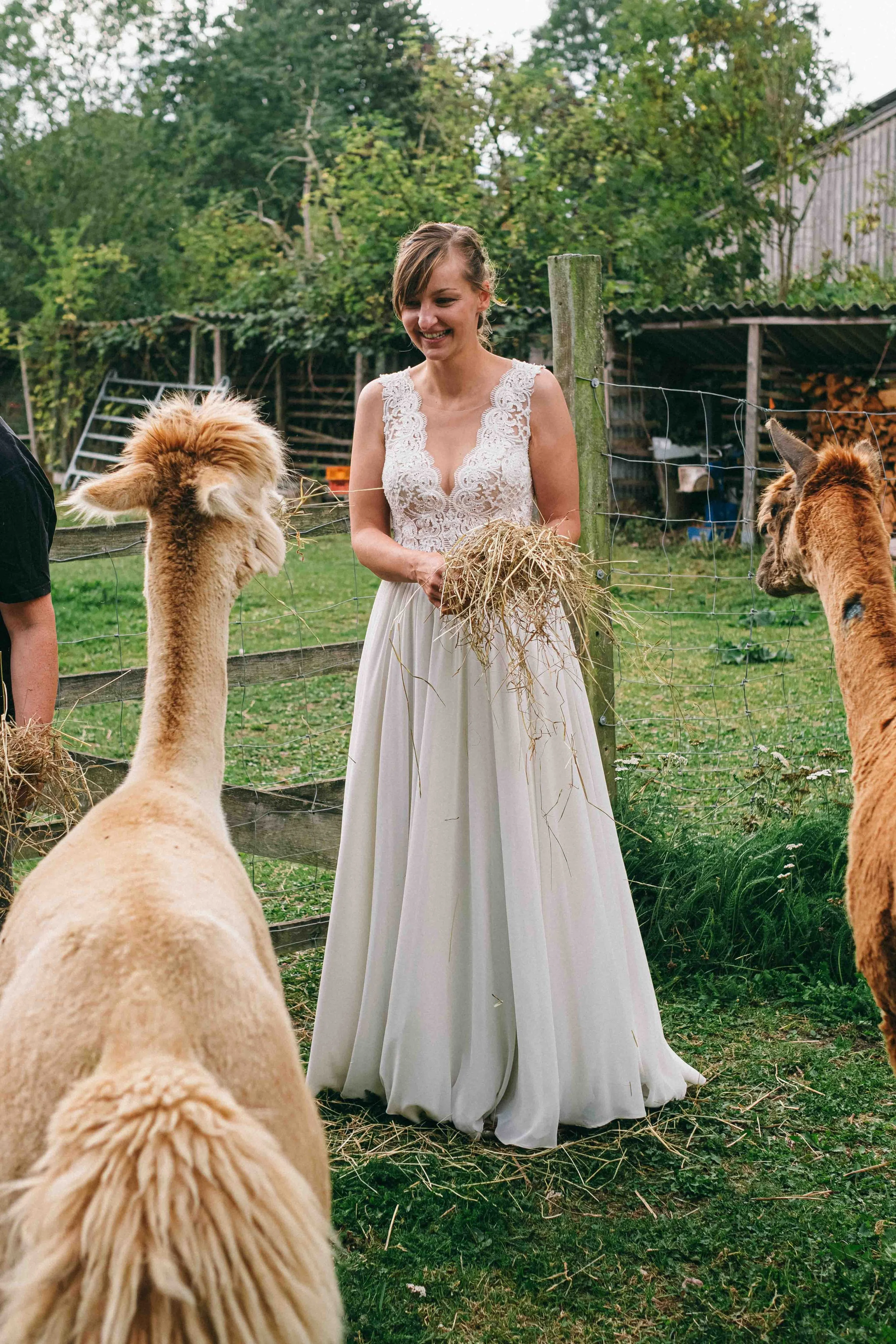 hochzeit_hofstube_gut_Blockshagen__60.jpg