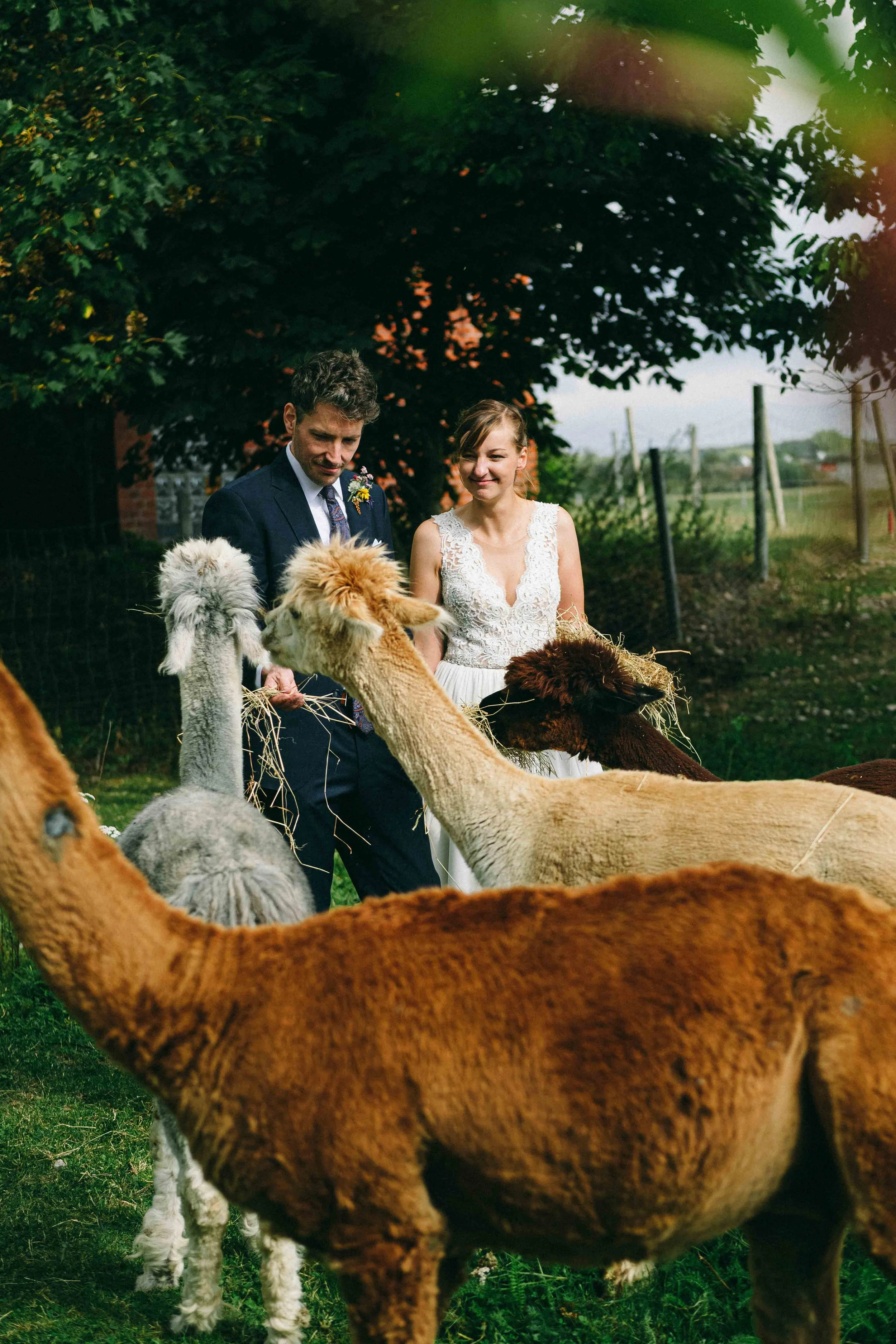 hochzeit_hofstube_gut_Blockshagen__67.jpg