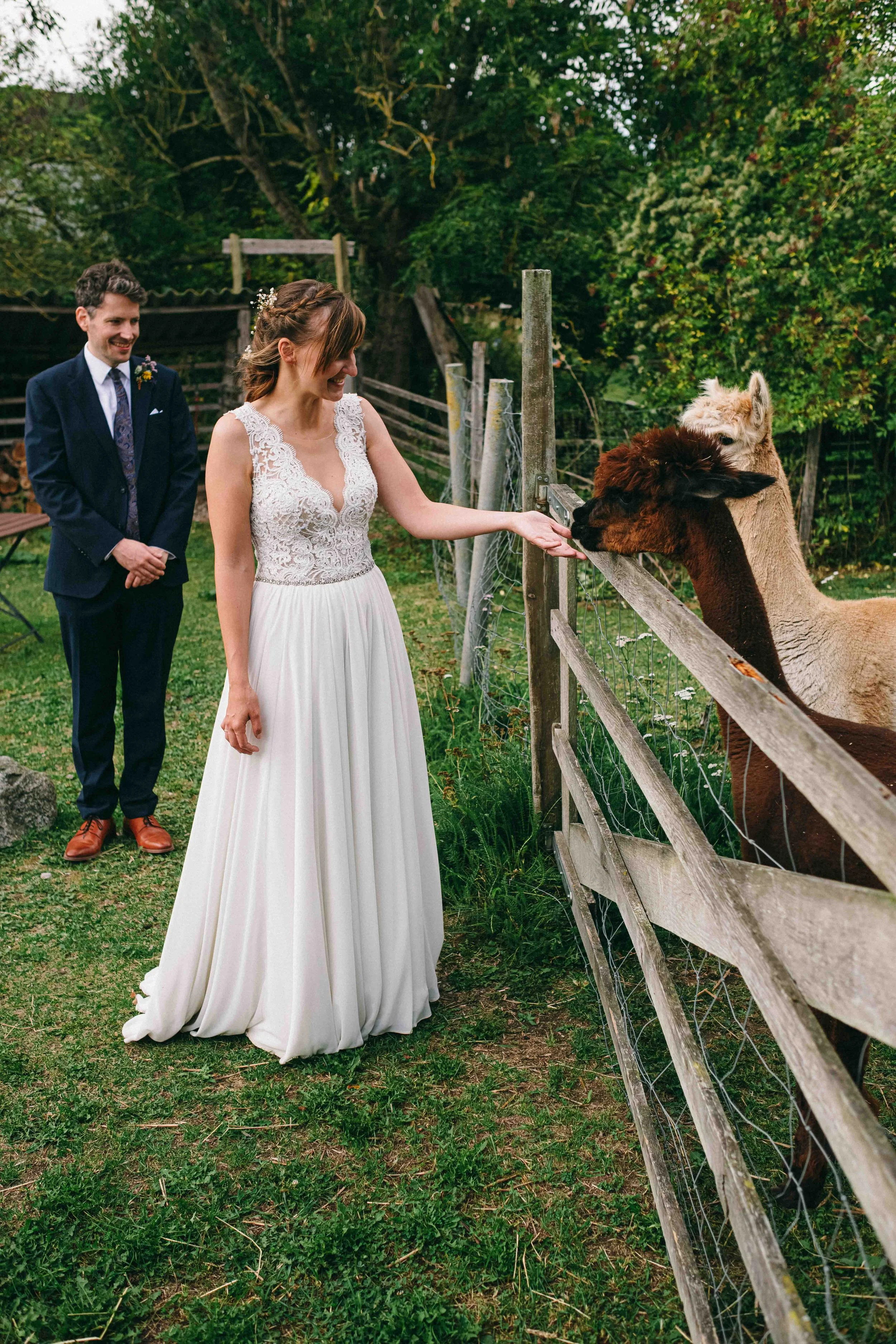 hochzeit_hofstube_gut_Blockshagen__57.jpg