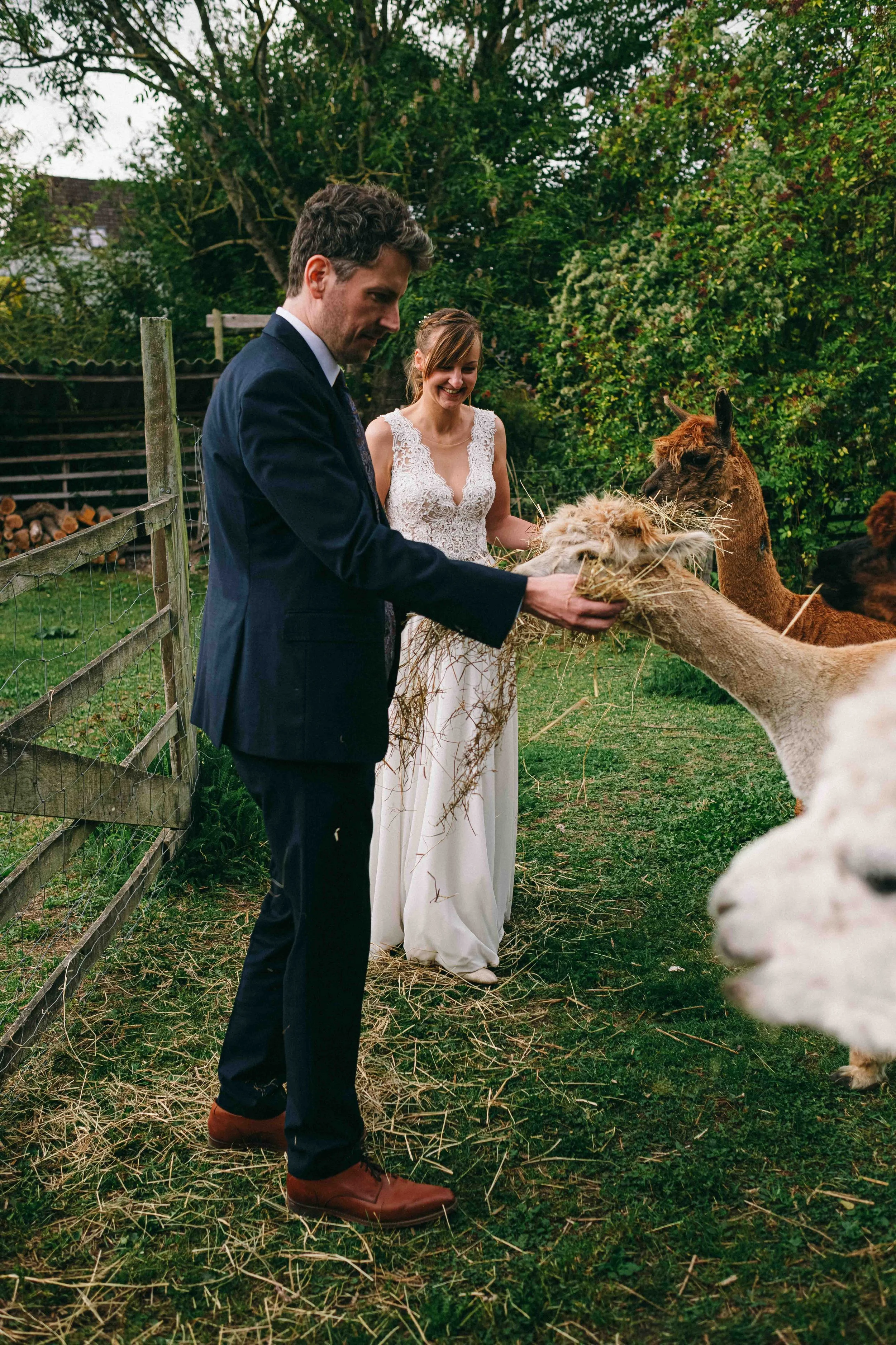 hochzeit_hofstube_gut_Blockshagen__61.jpg