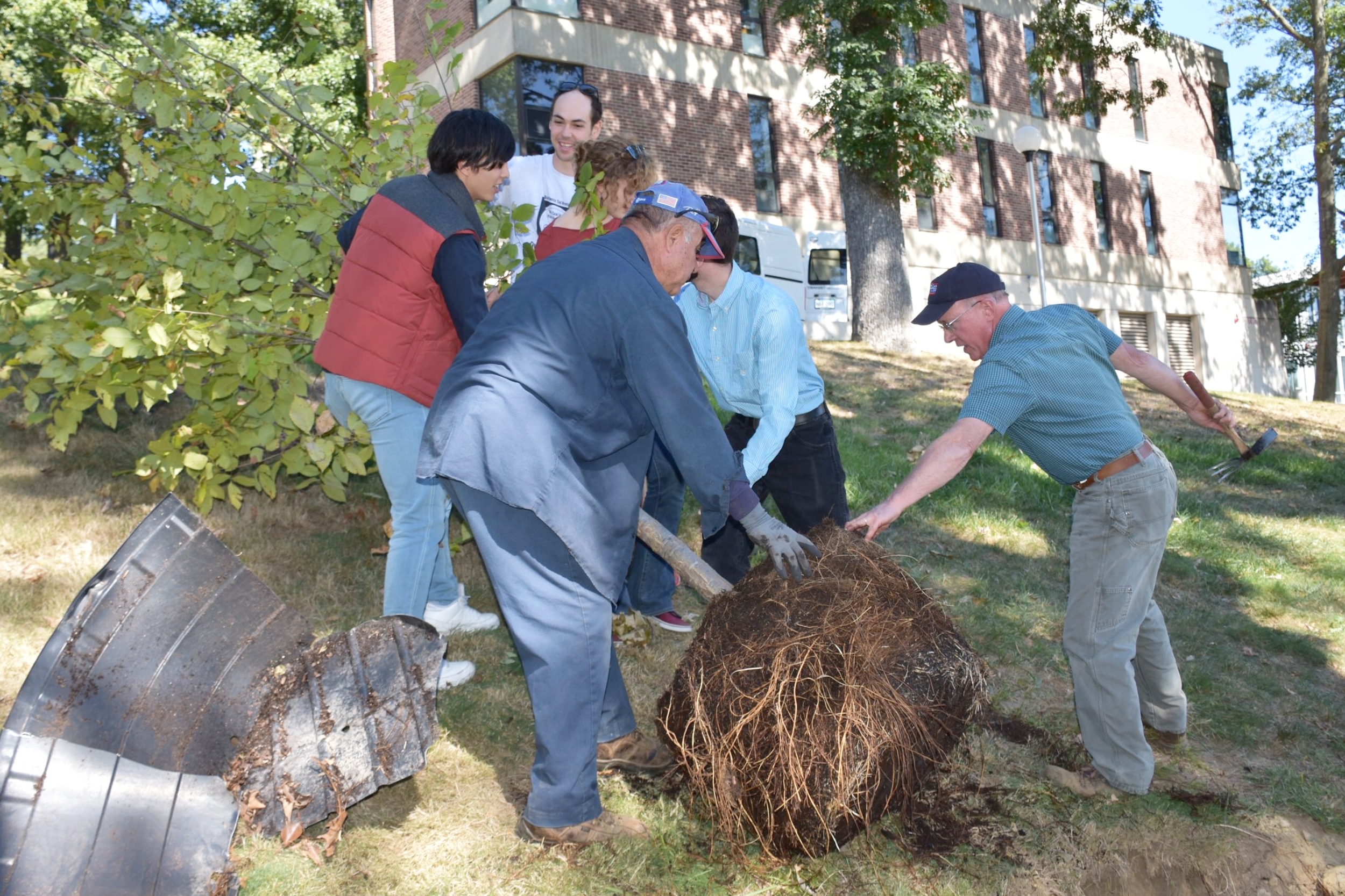  Rogers Lab - Brandeis University - Tree planting 