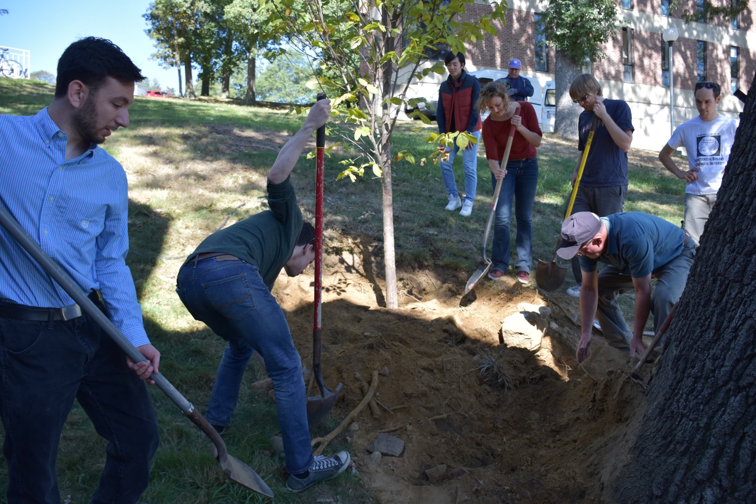  Rogers Lab - Brandeis University - Tree planting 