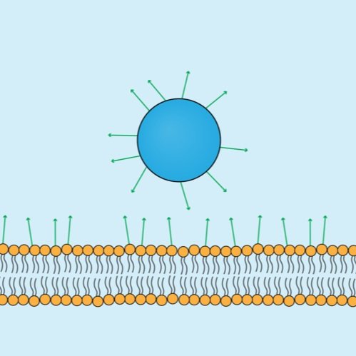 Membranes