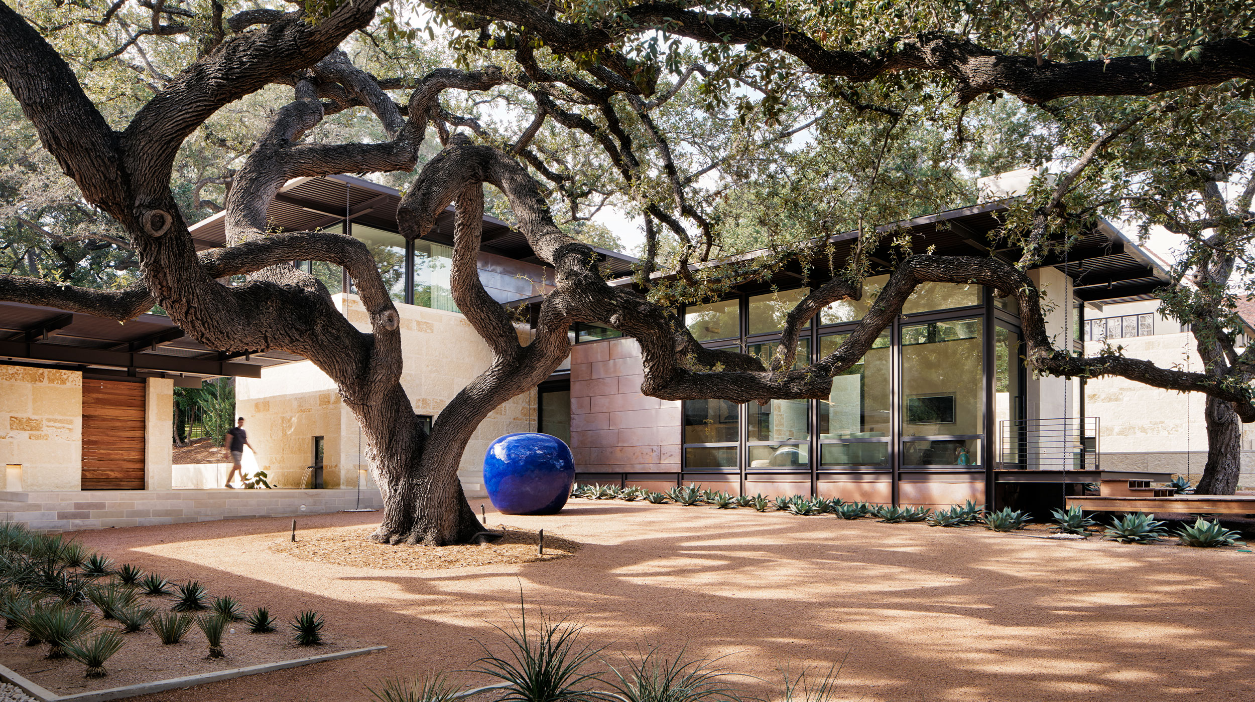 Olmos Park Residence San Antonio, Texas Located in the historic Olmos Park neighborhood, the residence sits along a winding road that leads to a densely wooded site. The two-story house is sited around mature Live Oaks with limestone walls serving as the garden backdrop. A grand oak tree at the main courtyard provides a magnificent, sculptural form while granting shade and dappled light. Materials were carefully selected to preserve the integrity and character of the neighborhood and region. From the motor courtyard, visitors are led by a stone path over a koi pond to the central courtyard and front entrance. The planting approach creates a clean, minimal landscape to contrast the adjacent heavily forested creek bed. Linear beds of yuccas and agaves with level gravel areas serve as a simple ground plane for the twisted branching of the Oaks. Once inside the home, the main living area reveals floor-to-ceiling views of the outdoors as if hovering into the landscape. Project Partners: Lake|Flato Architects Publications: 2019 Dwell Magazine | An Imposing Oak Tree Serves as a Living Sculpture in This Texas Home | By Alia Akkam | June 26, 2019 Photographer: Casey Dunn