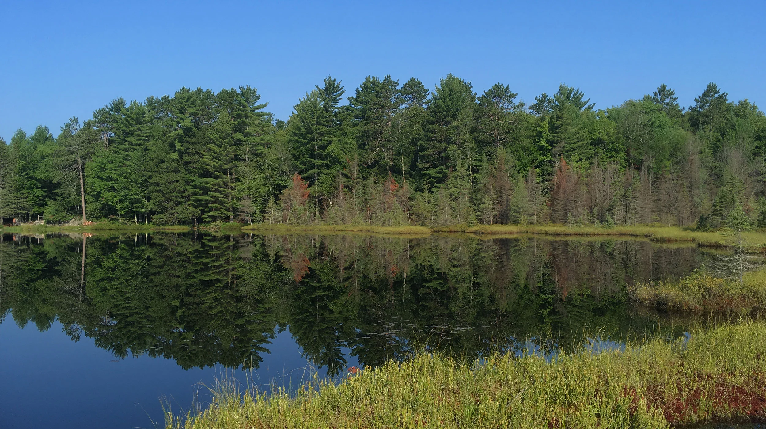 Fort Wilderness Northwoods, Wisconsin Studio Outside is currently working with a faith-based camp in the Northwoods of Wisconsin in devising a new master plan. The organization’s deep tradition and relationship with the land have built a legacy that has continued to grow while holding onto cherished traditions. The planning process is developing a strategy for a recent new land acquisition as well as reorganization of existing facilities over time. Preservation of natural areas is core to the mission, and experiences of the lake, bog, forest, and open areas create a full immersion in the Northwoods ecosystem. The plan fosters and expands year round activities that range from snowshoe trails to a lakeside water slide, along with a full slate of adventure programming. The hierarchy of lodging options responds to interests from a variety of camper groups and a new dining hall will serve future expanded camp capacity.