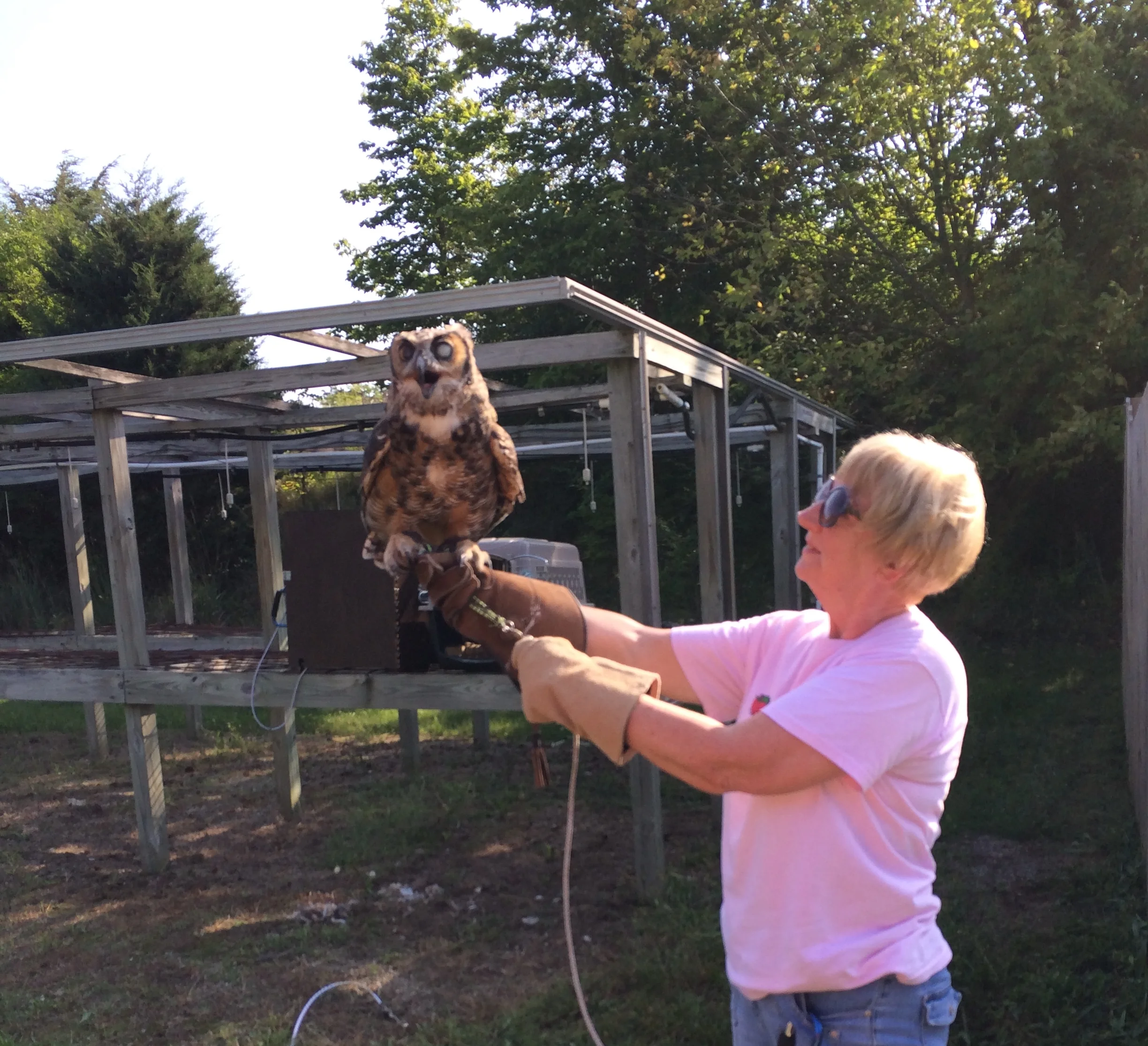 Feathered Friend at DCP