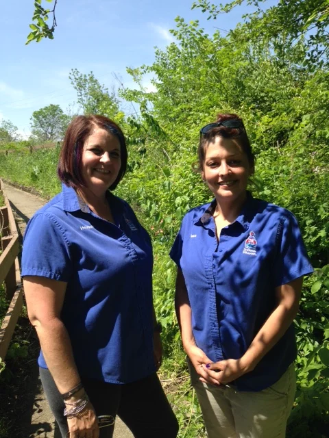 Sherwin Williams Chooses DCP for National Paint Week