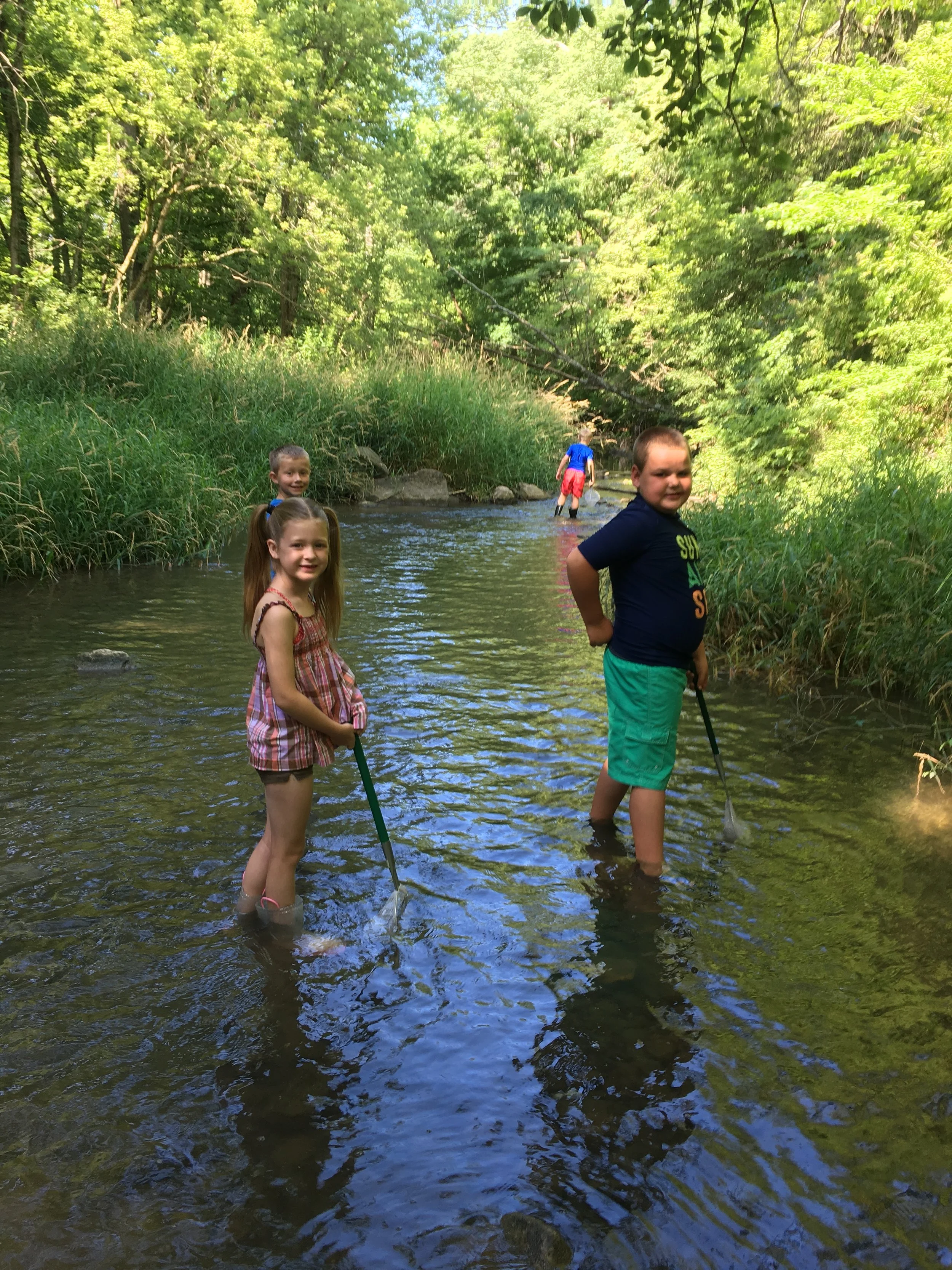 DCP Summer Camps at Hit!