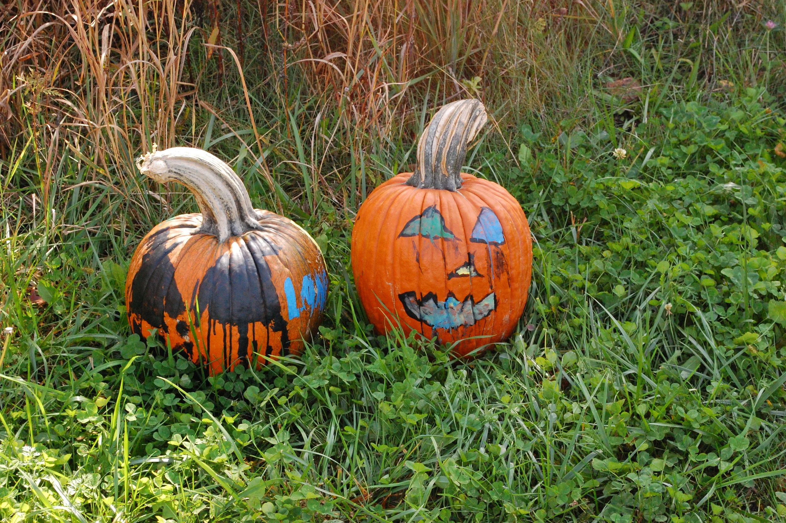 The Great Pumpkin Hunt