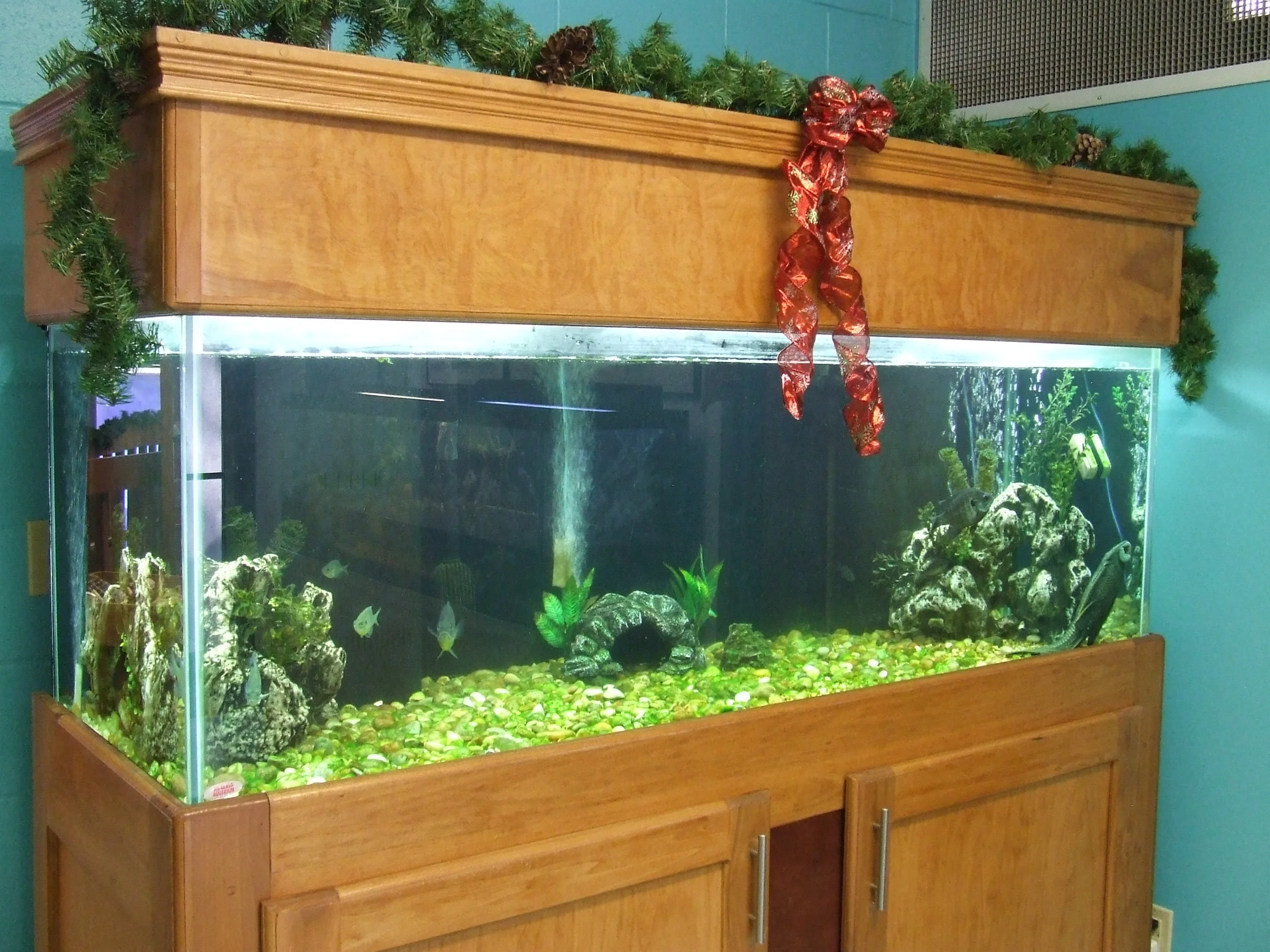 Beautiful Aquarium Gifted to Darke County Parks