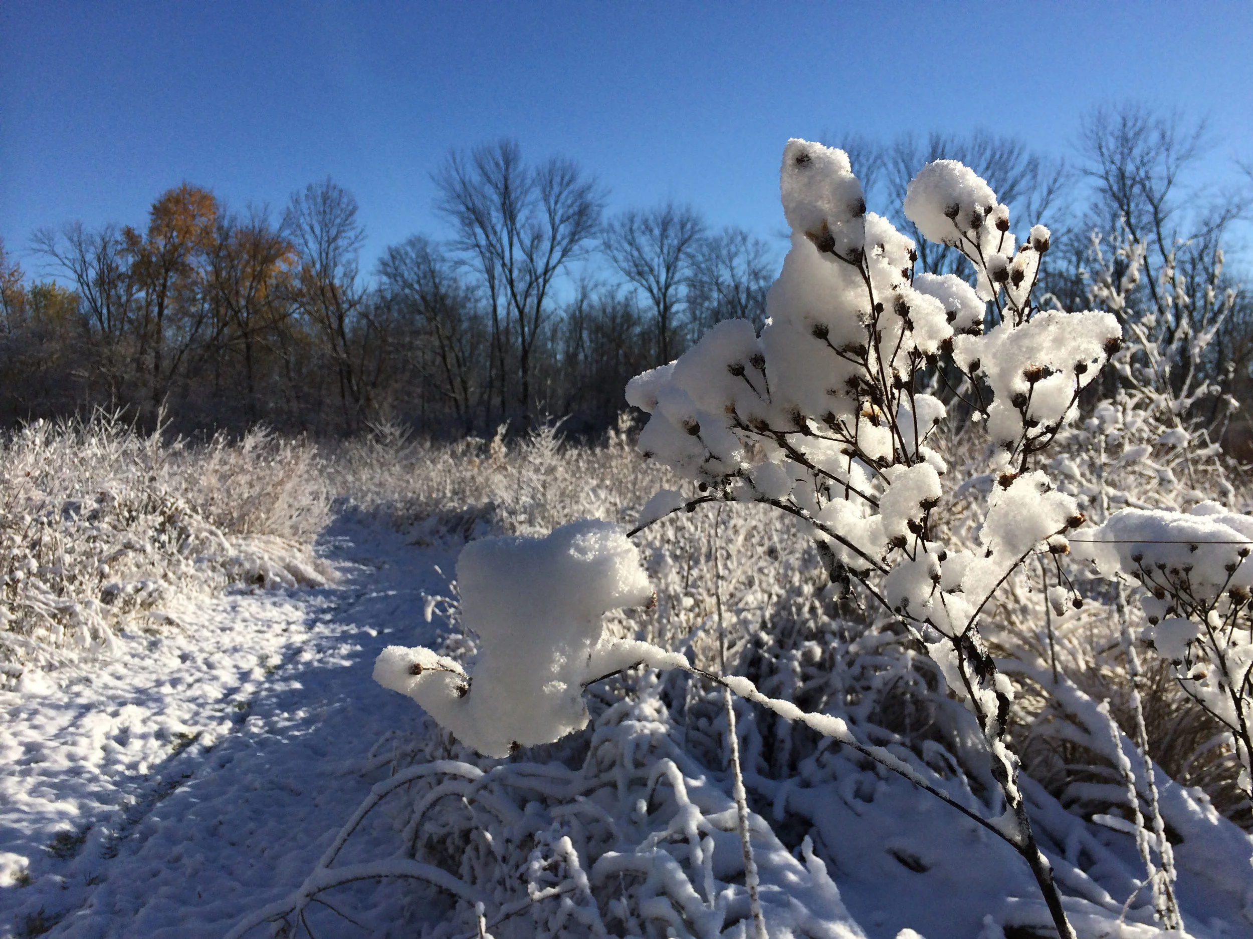 Early Morning Discovery Hike Winter Schedule Change