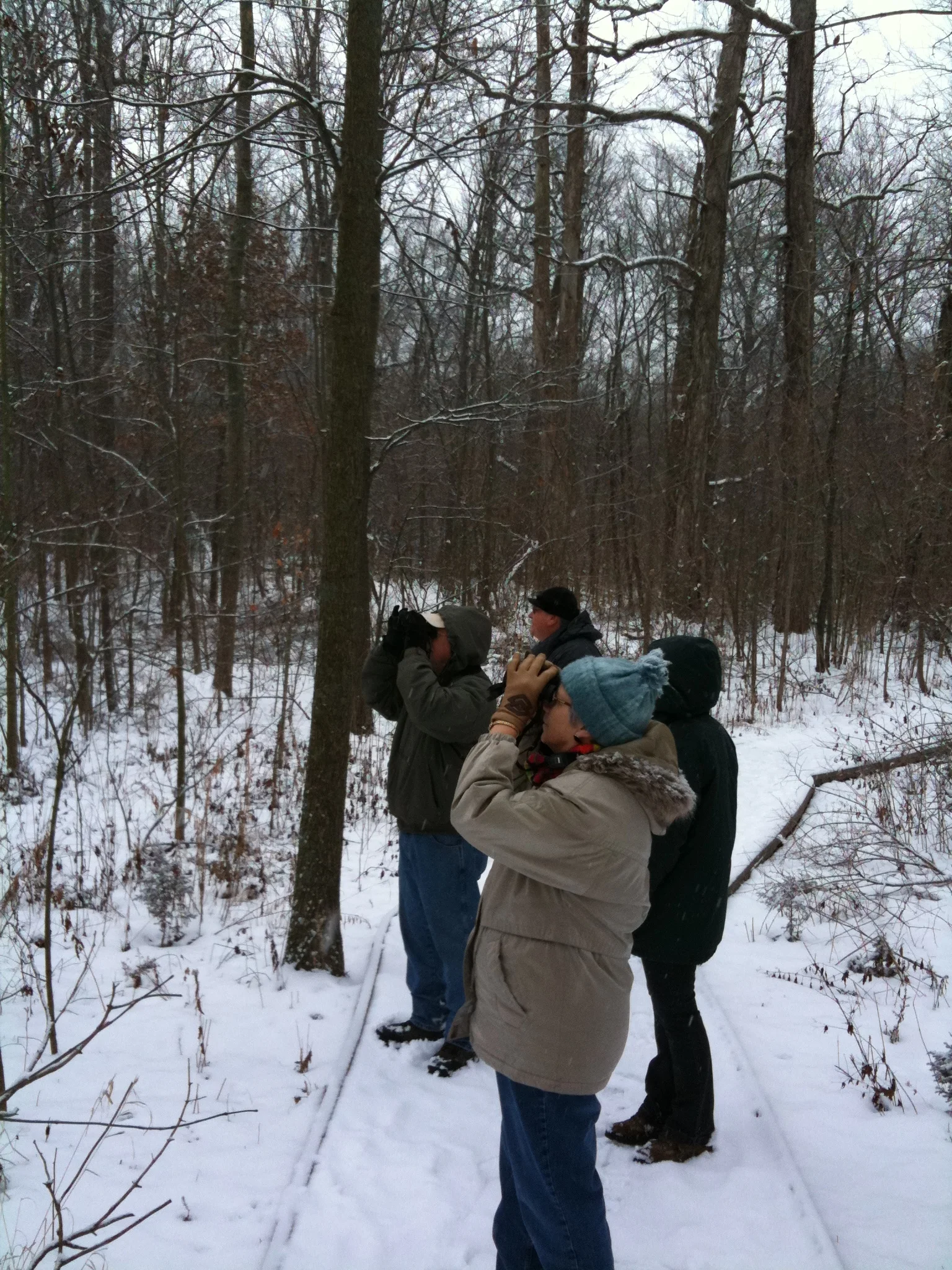The Annual Christmas Bird Count