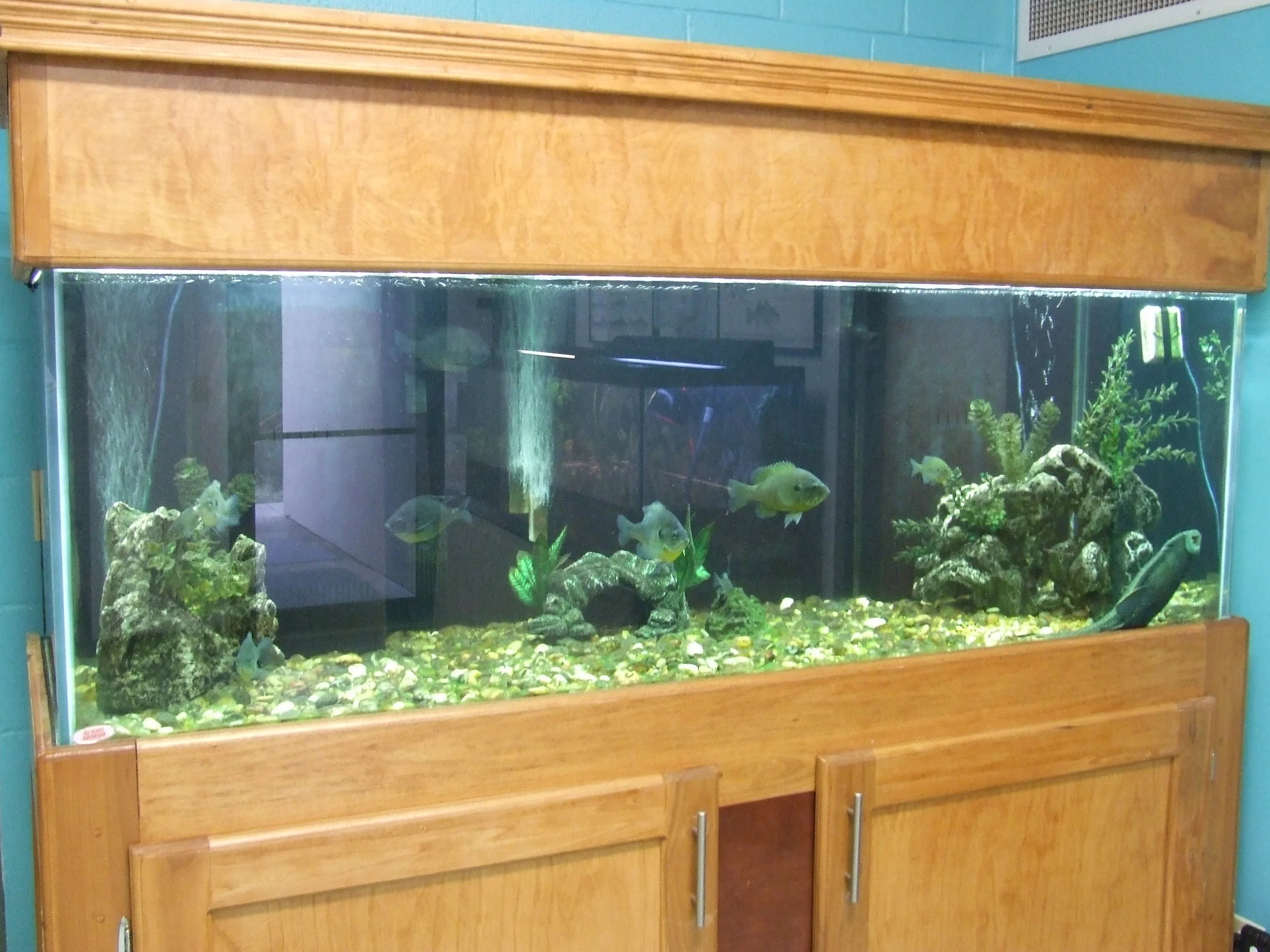 Darke County Parks Receives Schaurer Grant