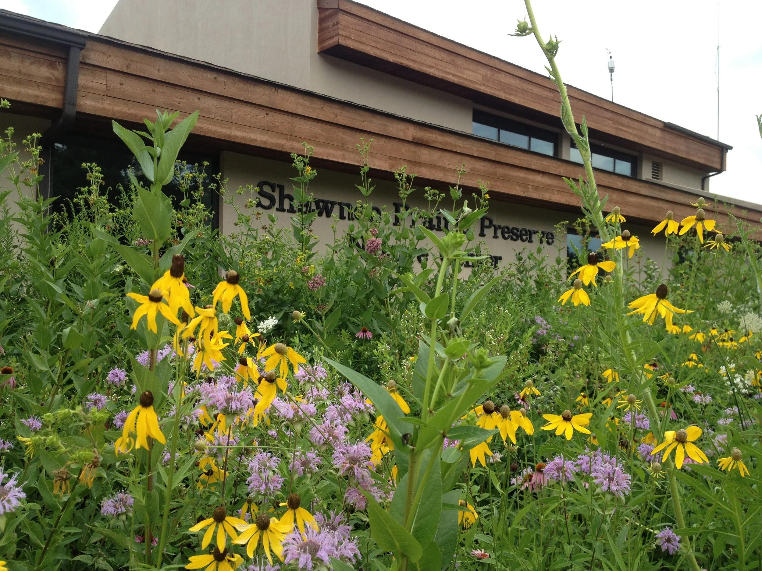 Native Plant Sale 2018
