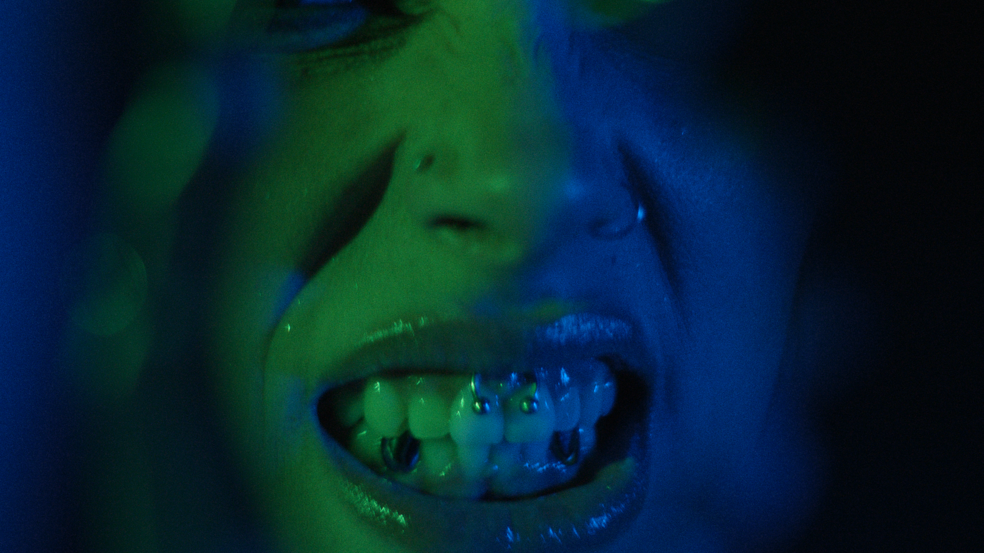 LS - Wolf _1.1.118.png
