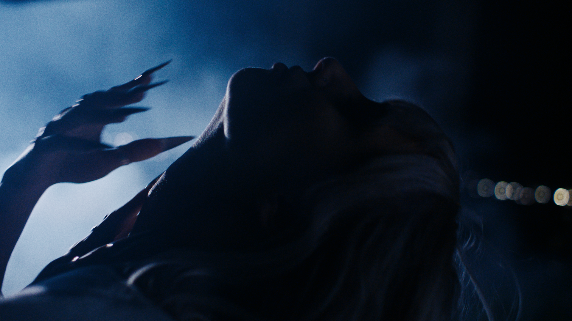 LS - Wolf _1.1.215.png