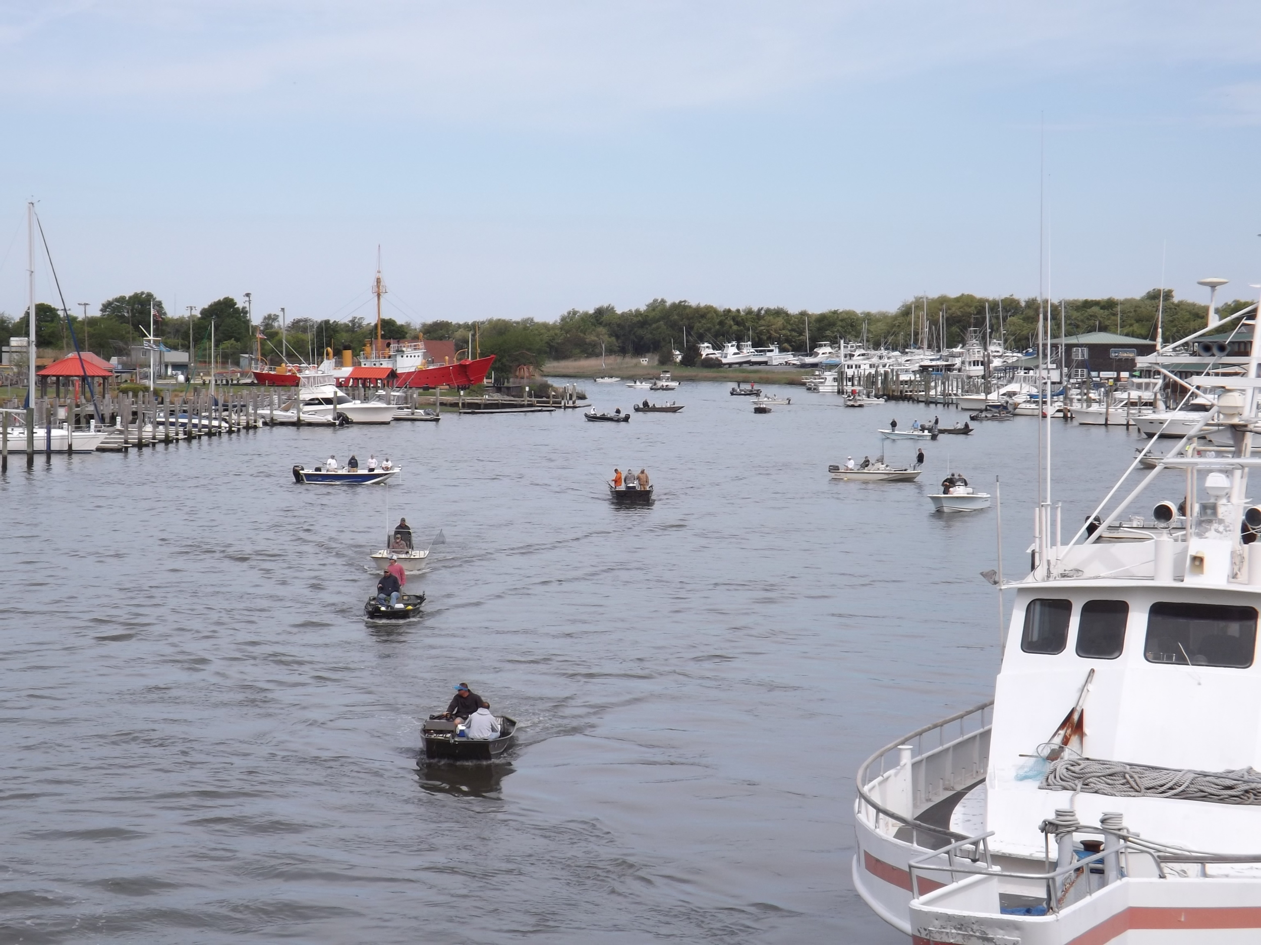 2015 Canal Flounder Tournament.jpg