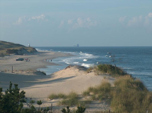  Herring Point, Cape Henlopen State Park 