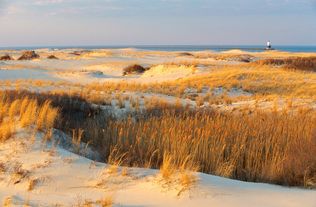  Dunes at Cape Henlopen State Park 