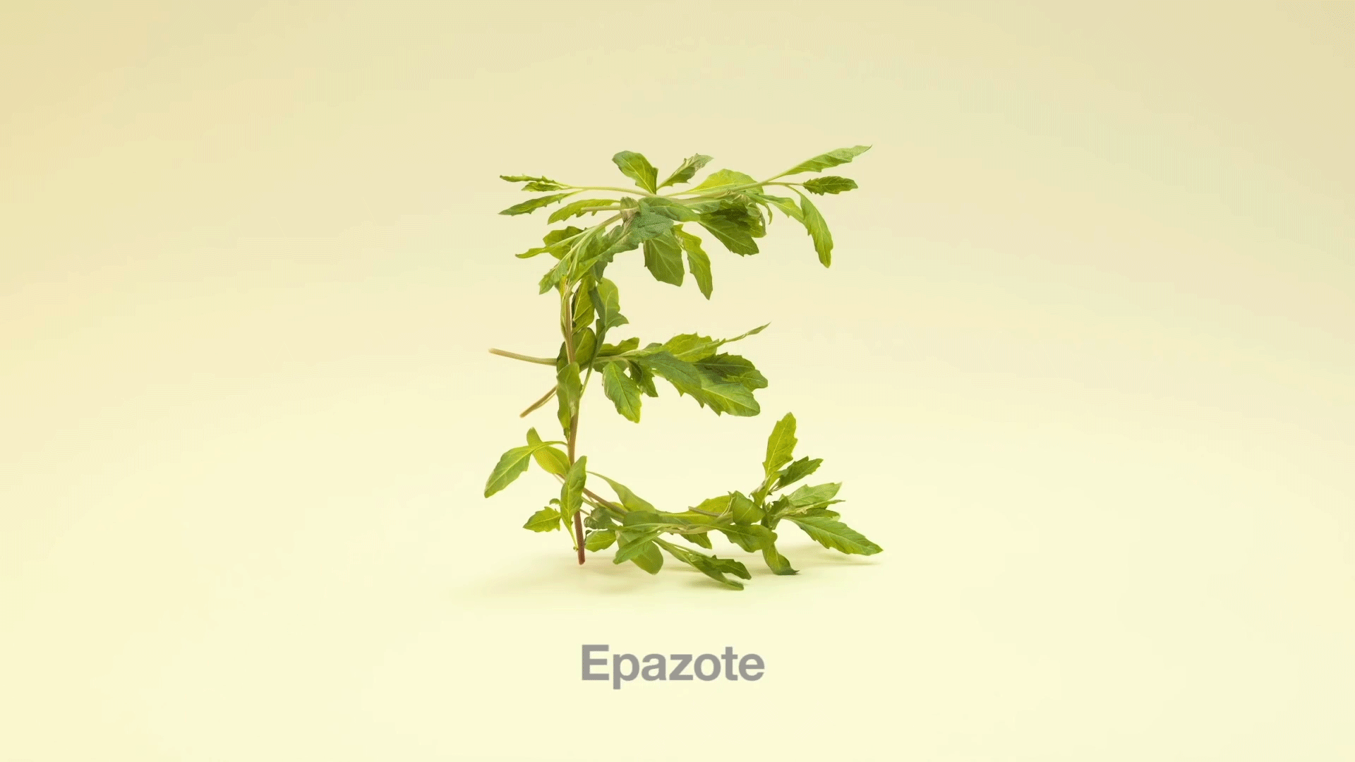 Cover.gif