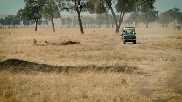 Production: Great Wild & Co. // dir. Bud Simpson (Copy)