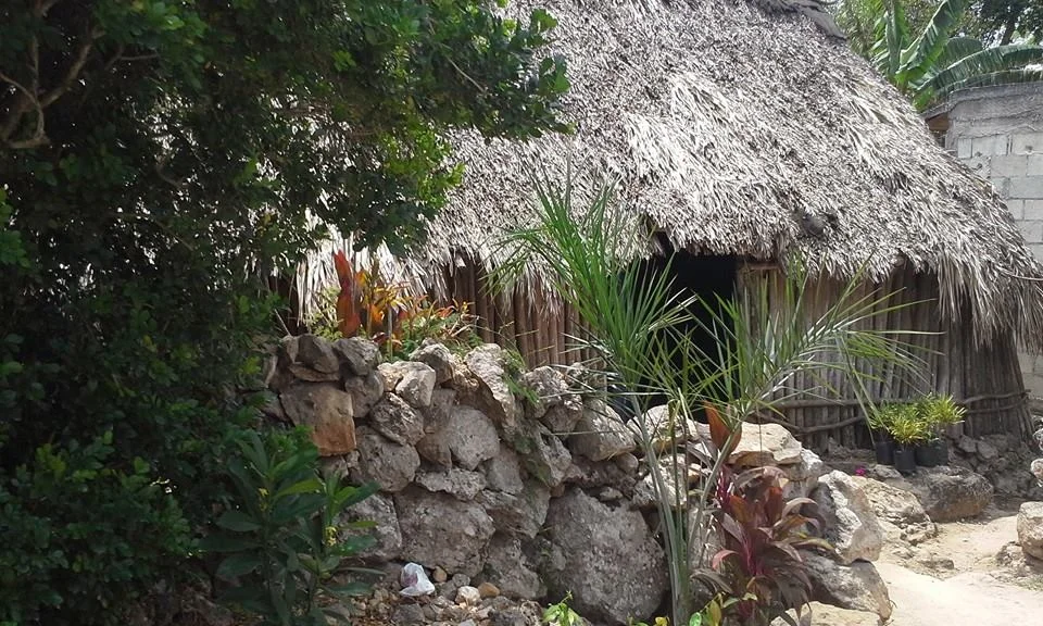 Mayanhouse.jpg